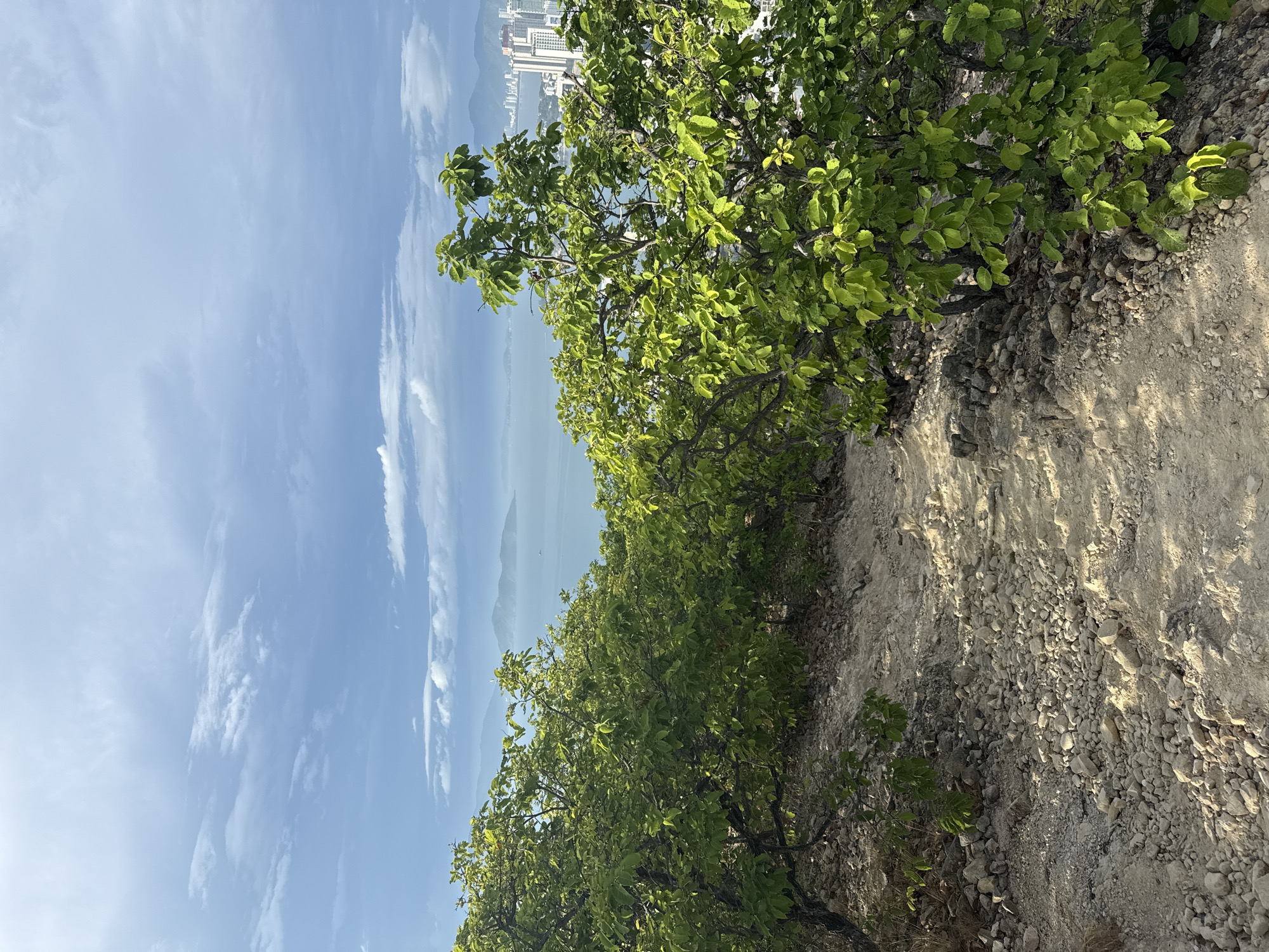 The image shows a path with a rocky edge and green trees. A body of water and a skyline with tall buildings can be seen in the distance. The location is likely Bac Nha Trang Ward, Vietnam.