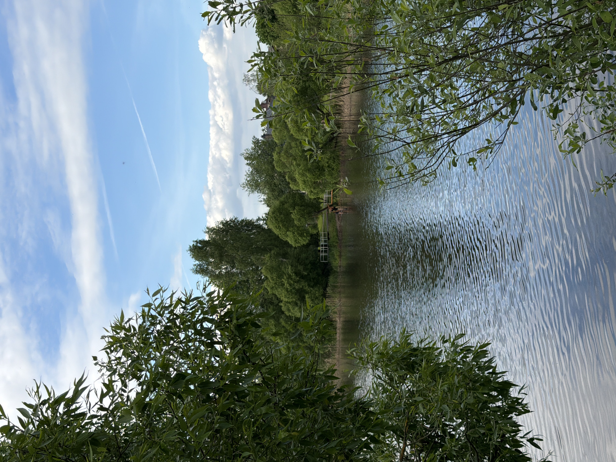 This media file presents a serene daytime landscape of a natural setting in Satino-Russkoe, Russia. The image is oriented vertically, capturing a scene dominated by a body of water and lush greenery under a partly cloudy sky.
The upper portion of the frame showcases a clear blue sky with scattered white clouds, including a prominent, tall cloud formation along the right edge. Faint aircraft contrails are visible in the upper left section of the sky, suggesting good visibility.
The central and lower areas are occupied by a calm body of water, likely a lake or pond. Its surface displays gentle ripples, creating reflective patterns of the sky and surrounding vegetation. The water acts as a mirror, adding depth to the scene.
Dense green trees and foliage line both the distant banks and the immediate foreground. Overhanging branches with fresh green leaves frame the view in the foreground. In the distance, on the far bank, a small white wooden structure, possibly a pier or a jetty, extends slightly into the water. Two small figures, appearing to be people, are visible near this structure, indicating human presence and potential leisure activity like relaxation or fishing. A faint structure, possibly a building, is partially obscured by trees further along the distant bank.
The bright, natural lighting suggests it is a sunny day, likely late morning or afternoon. The overall impression is one of peaceful natural beauty and tranquility. No discernible text is visible in the image.