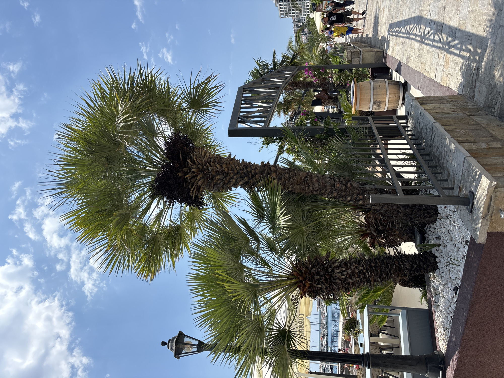 The image depicts a sunny day in Budva, Montenegro. In the foreground, a pathway lined with palm trees and a decorative fence stretches into the distance. To the left, an outdoor seating area with white tables and umbrellas is visible, with a glimpse of the sea and boats beyond. To the right, people are walking along the pathway, some browsing at shops or enjoying the atmosphere. A wooden barrel, serving as a bin or decorative element, stands by the fence. The architecture in the background includes buildings, suggesting a bustling urban environment. The sky is a vibrant blue with scattered white clouds, indicating pleasant weather.