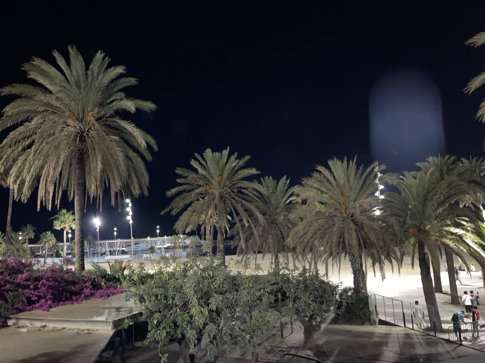 The image captures a nighttime scene along the waterfront in Barcelona, Spain, likely near the Port Olímpic area. Tall palm trees dominate the foreground and midground, their fronds silhouetted against a dark night sky. Purple bougainvillea flowers bloom in abundance to the left, cascading over a concrete structure. In the background, illuminated by artificial lights, are the structures of a marina with boats moored, and a walkway or promenade lined with streetlights. A few people are visible walking along the promenade in the distance, their figures indistinct in the low light. The overall atmosphere is one of a warm evening, with the lighting suggesting a public space in a Mediterranean city.