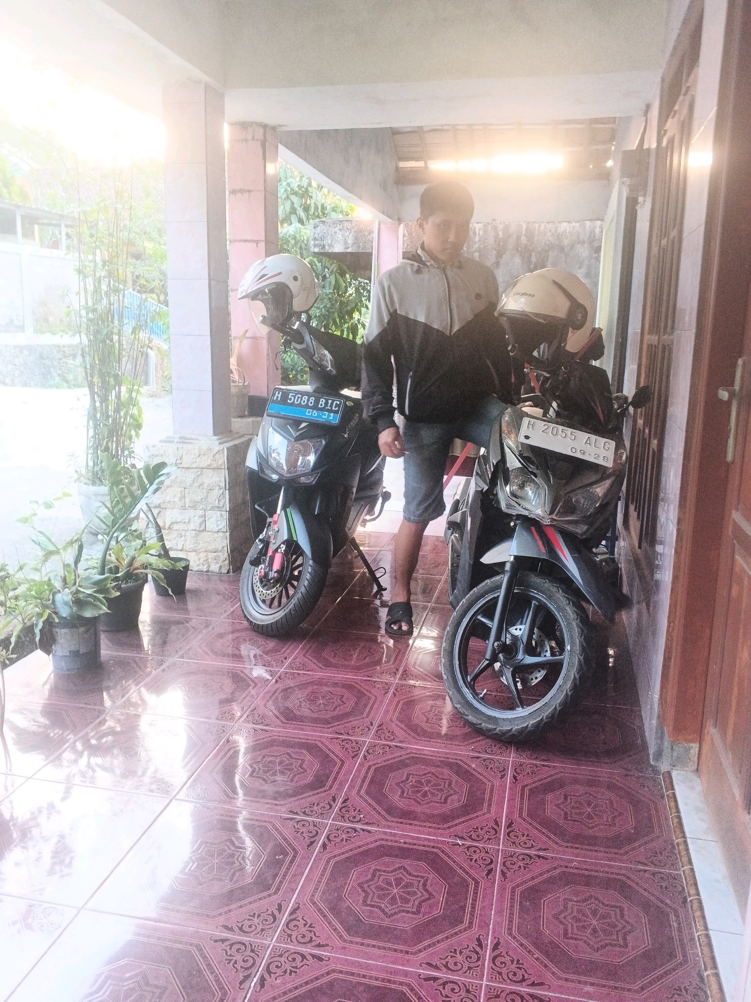A young man stands between two motorcycles on a tiled porch, presumably located in Keji, Indonesia. The porch has a tiled floor with an intricate patterned design in shades of pink and maroon. The man, wearing a grey and black jacket and denim shorts, is positioned slightly off-center, looking down. To his left is a black motorcycle with a white helmet on its handlebars. The license plate on this motorcycle reads "H 5688 BIC". To his right is another black motorcycle with a cream-colored helmet on its handlebars. This motorcycle's license plate reads "H 2055 ALG 09.28". Green plants in pots are visible on the left side of the porch. The background shows a building structure with concrete pillars and walls, and sunlight is filtering in from the left, creating bright highlights. The overall scene depicts a casual outdoor setting with two motorcycles and a person on a porch.