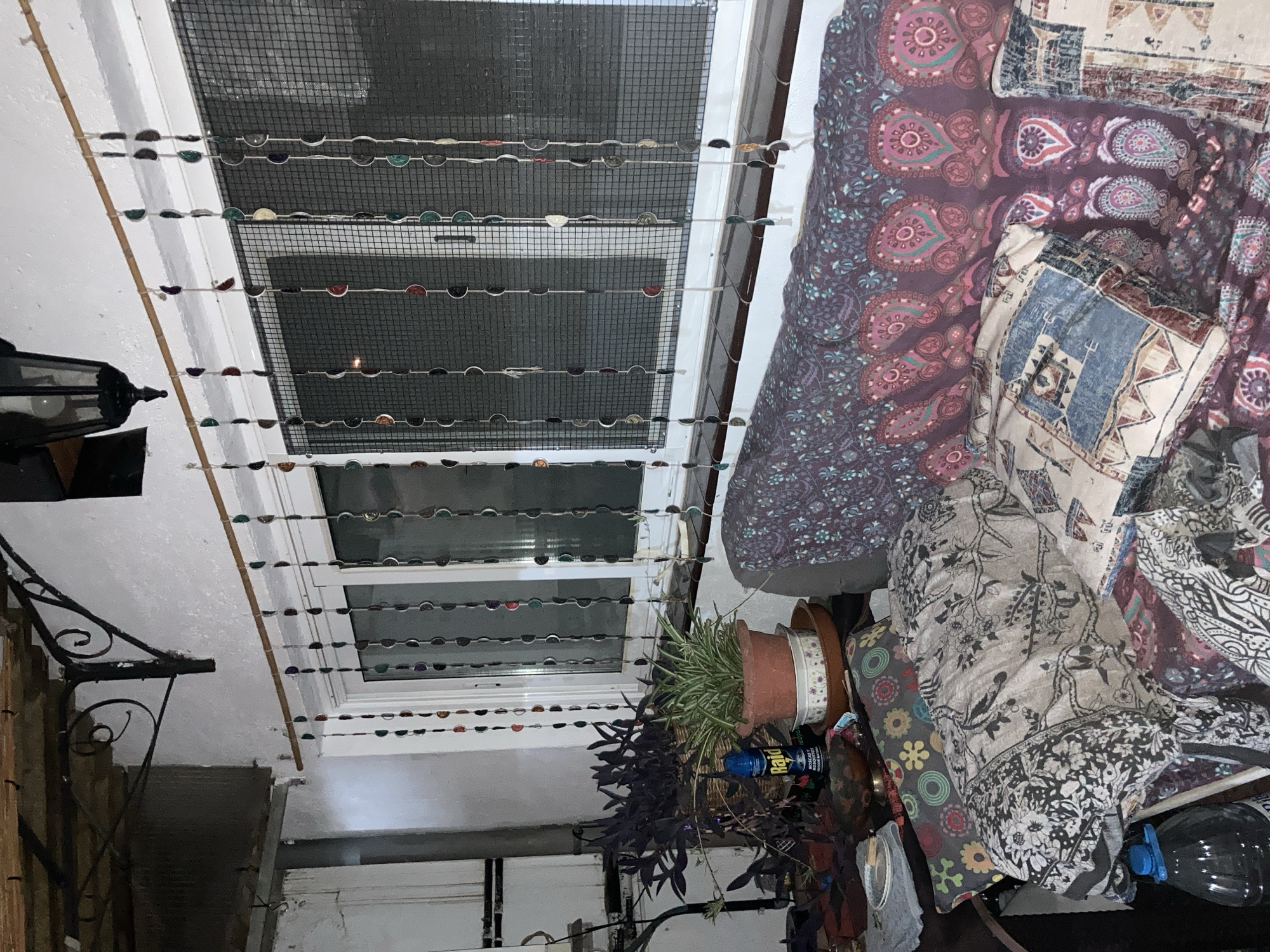 The image depicts an interior scene, likely a covered balcony or porch, with a window as the central element. The window is covered by a mesh screen and adorned with hanging strings of colorful, circular objects, possibly beads or buttons, strung from a wooden rod. A dark, ornate metal bracket is mounted on the wall above the window, supporting an unseen structure. The windowsill is dark and glossy.
In the foreground, a sofa is visible, draped with various patterned textiles and cushions. One cushion has a black and white floral pattern, while others feature geometric and paisley designs in muted colors. A large plastic bottle filled with dark liquid is on the lower left side of the frame. To the left of the sofa, on a table or surface, are two potted plants: one with dark purple, broad leaves and another with thin, green, variegated leaves in a terracotta pot. A can of Raid insect killer is placed next to the purple-leafed plant.
The walls are painted white and show signs of texture. A vintage-style black lantern hangs from the ceiling near the top right corner. The overall impression is one of a lived-in, bohemian-style space.
Regarding the location in Sabadell, Spain, this specific image does not contain any explicit visual cues, such as street signs, landmarks, or architectural styles unique to Sabadell, that would definitively place it within that city. Therefore, I cannot confirm the location as Sabadell, Spain based solely on the provided image.