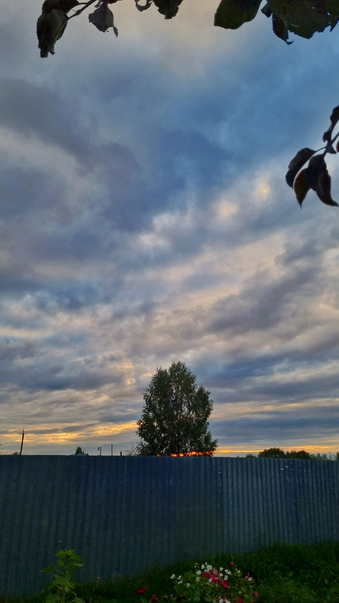This is a vertical, eye-level outdoor photograph taken in Vysokoe, Russia, during twilight. The scene is dominated by a dramatic sky filled with layered, undulating clouds in shades of blue, gray, and hints of orange where the sun is setting. In the foreground, a dark gray corrugated metal fence runs horizontally across the lower third of the image. Above the fence, the silhouette of a lone, leafy tree stands centered, its branches reaching towards the sky. The bottom of the frame shows a patch of green grass with a cluster of small, colorful flowers in pink and white. Overhead, dark leaves from an unseen plant partially obscure the top corners of the sky. The overall mood is serene and atmospheric.