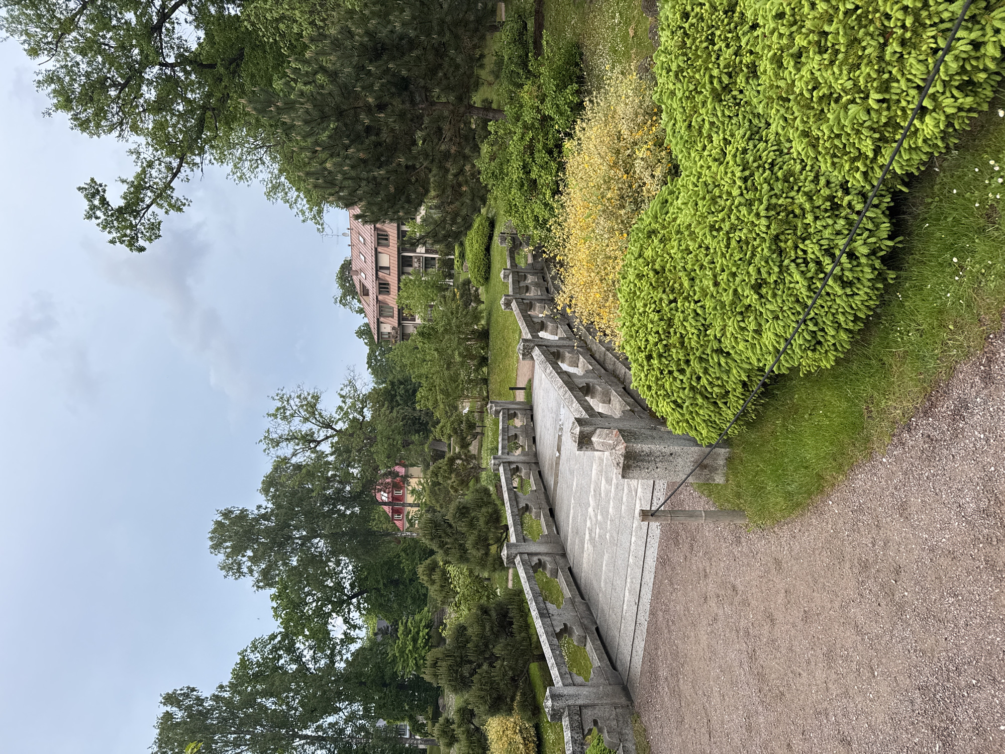 The image displays a serene park scene under an overcast sky, specifically identified as the Japanese Garden within Kadriorg Park, Tallinn, Estonia. In the immediate foreground, a reddish-brown gravel path extends from the lower-left, curving towards a grey stone bridge. The path is bordered on the right by a low, dense hedge of vibrant light green, needle-leafed shrubs, restrained by a black rope strung between a wooden post and a stone baluster.
The central feature is a grey stone bridge, spanning a shallow depression and leading further into the garden. The bridge features solid, slightly curved stone balustrades with decorative, openwork patterns resembling hearts or leaves. Beyond the bridge, the landscape continues with a mix of manicured green lawns, patches of small white flowers, and various shrubs, including a prominent bush with bright yellow foliage or blossoms to the right of the bridge.
The midground and background are densely vegetated with a variety of trees and bushes. Conical, dark green coniferous trees are interspersed with taller, leafy deciduous trees. Two buildings are visible through the foliage in the distance. To the left, a smaller, light yellow building with a distinct red gabled roof is partially visible. To the right, a larger, multi-story building with a reddish-brown mansard roof featuring numerous dormer windows, and light-colored facades, stands amidst the trees. The overall environment is lush, well-maintained, and devoid of people or discernible activity.