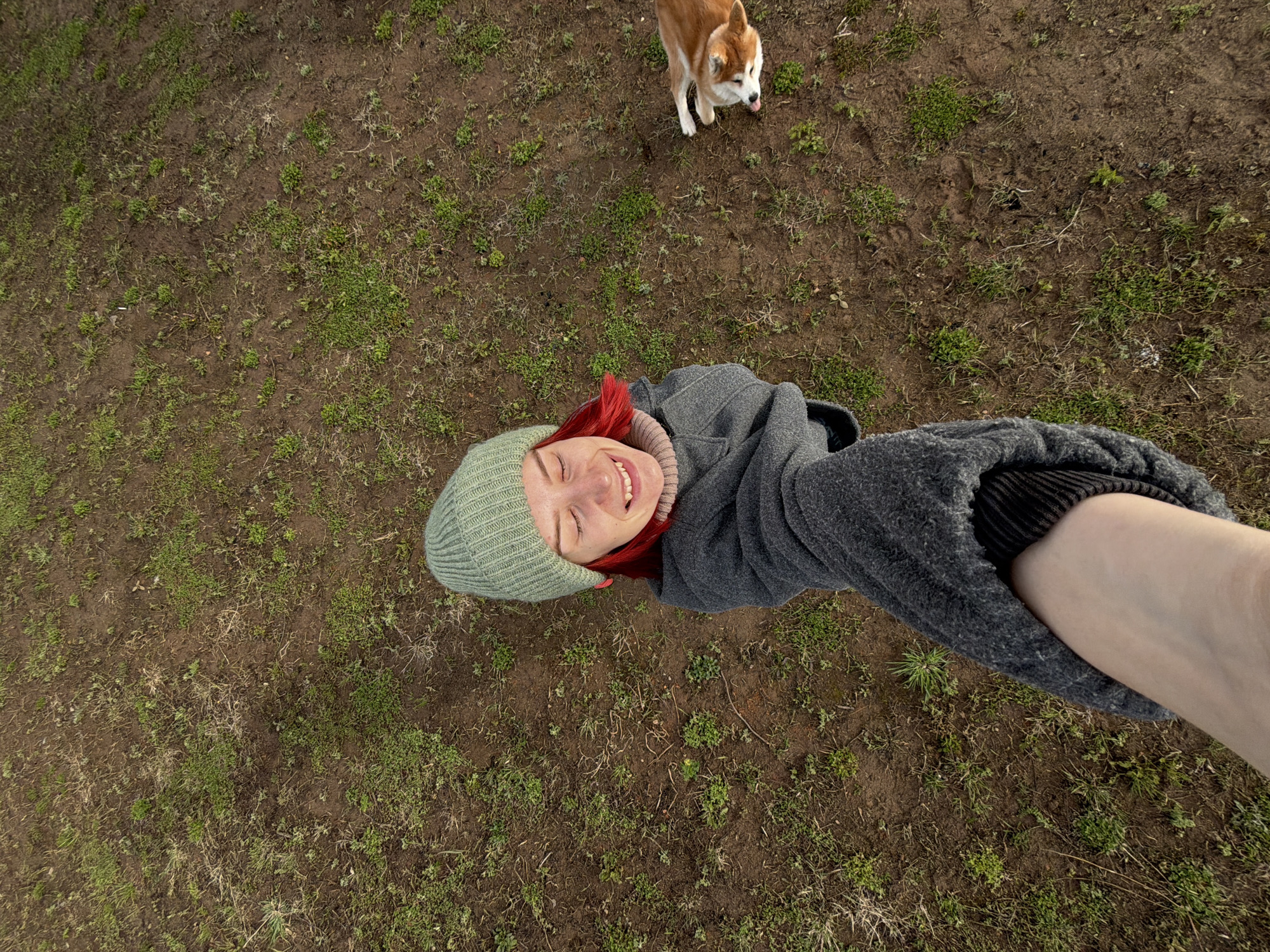 A high-angle shot depicts a person lying on the ground with a dog standing nearby. The person, likely a woman, is wearing a green knit hat and a gray coat with a black and white striped sleeve visible underneath. She is smiling and appears to be looking up at the camera. An arm and hand extend towards the top right corner of the image, suggesting the person is taking a selfie. A dog, possibly a corgi or similar breed, stands at the top of the frame with its tongue sticking out. The ground is predominantly brown with patches of green grass and small plants. The photo was taken in the city of Chaikovsky, Russia.