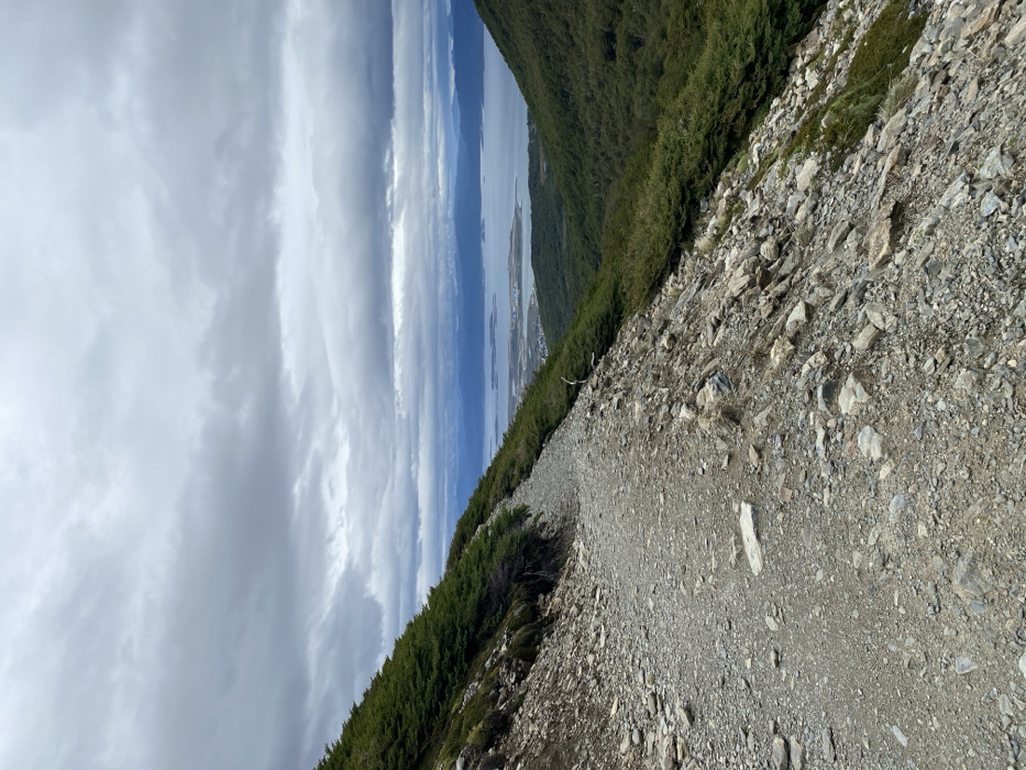 The image depicts an elevated view of a mountainous landscape overlooking the city of Ushuaia, Argentina, and the Beagle Channel under a heavily overcast sky. In the foreground, a winding, unpaved trail, approximately 1.5 meters wide and composed of dirt and various sized gravel and rocks, ascends from the lower left to the upper right. To the immediate left of the path, the terrain slopes steeply upwards, covered with sparse green shrubbery and exposed dark rock. To the right of the path, the mountainside drops sharply, densely covered with dark green vegetation, likely low-growing trees or shrubs. No people are visible on the trail or in the immediate environment.
In the midground, the Beagle Channel stretches horizontally, featuring several small islands or peninsulas. The city of Ushuaia is visible along the channel's edge, characterized by a cluster of buildings with varying roof colors and a prominent airport runway extending into the water. In the distant background, mountains rise on the opposite side of the channel, partially obscured by the low, layered gray clouds that dominate the sky. The overall environment is rugged and natural, with signs of human settlement concentrated along the coast.