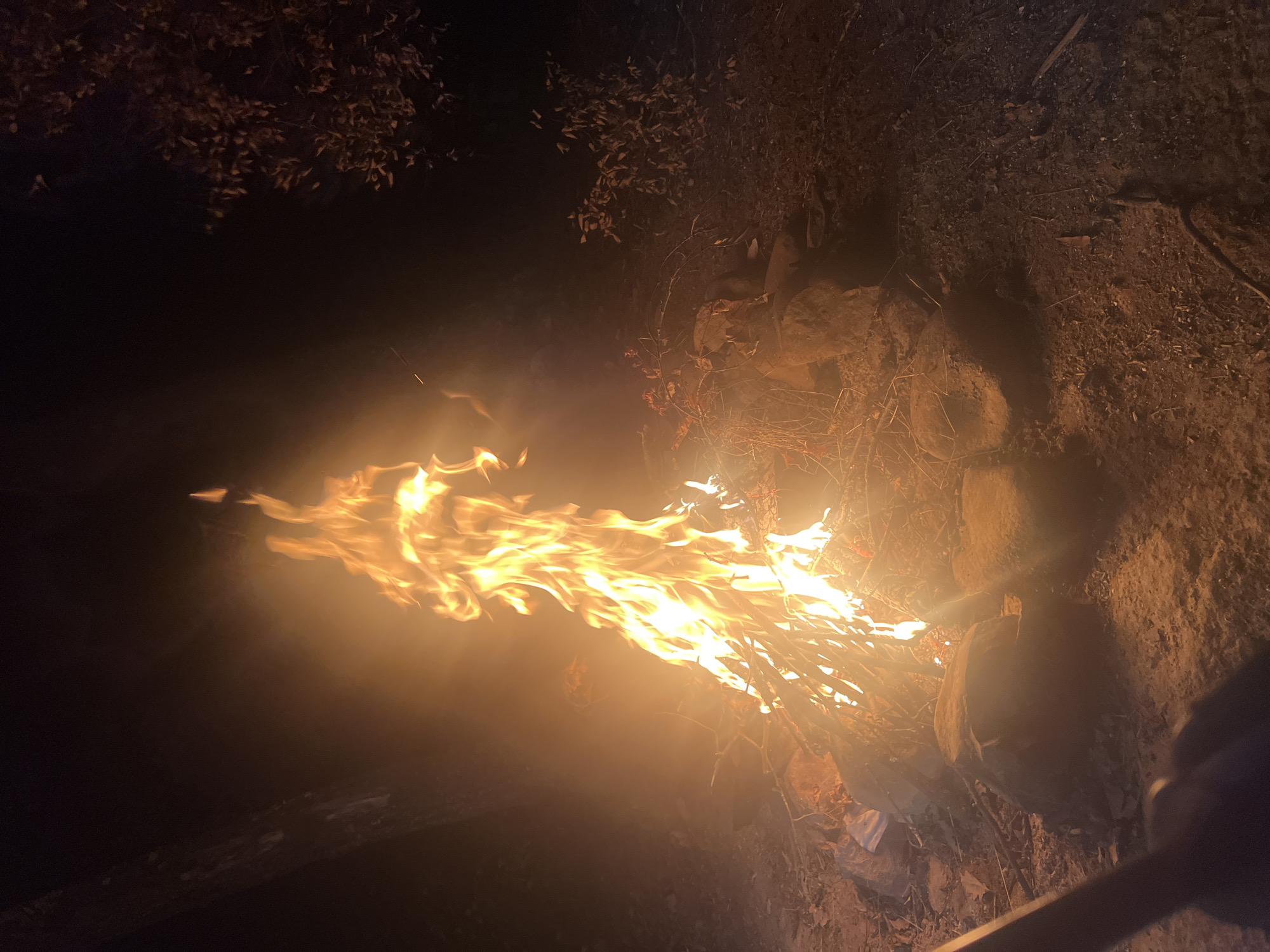 An outdoor campfire is burning at night in Brachkovtsi, Bulgaria. The fire is the central subject, with bright orange and yellow flames reaching upwards, illuminating the surrounding area with a warm glow. The fire is contained within a ring of stones, and dry leaves and twigs are visible around it, suggesting a forest or wooded environment. The background is dark, indicating nighttime. There are no people clearly visible in the image, though a dark shape in the lower left corner may be a person's hand holding something, possibly a stick to tend the fire. The scene is rustic and natural, with no urban elements present.