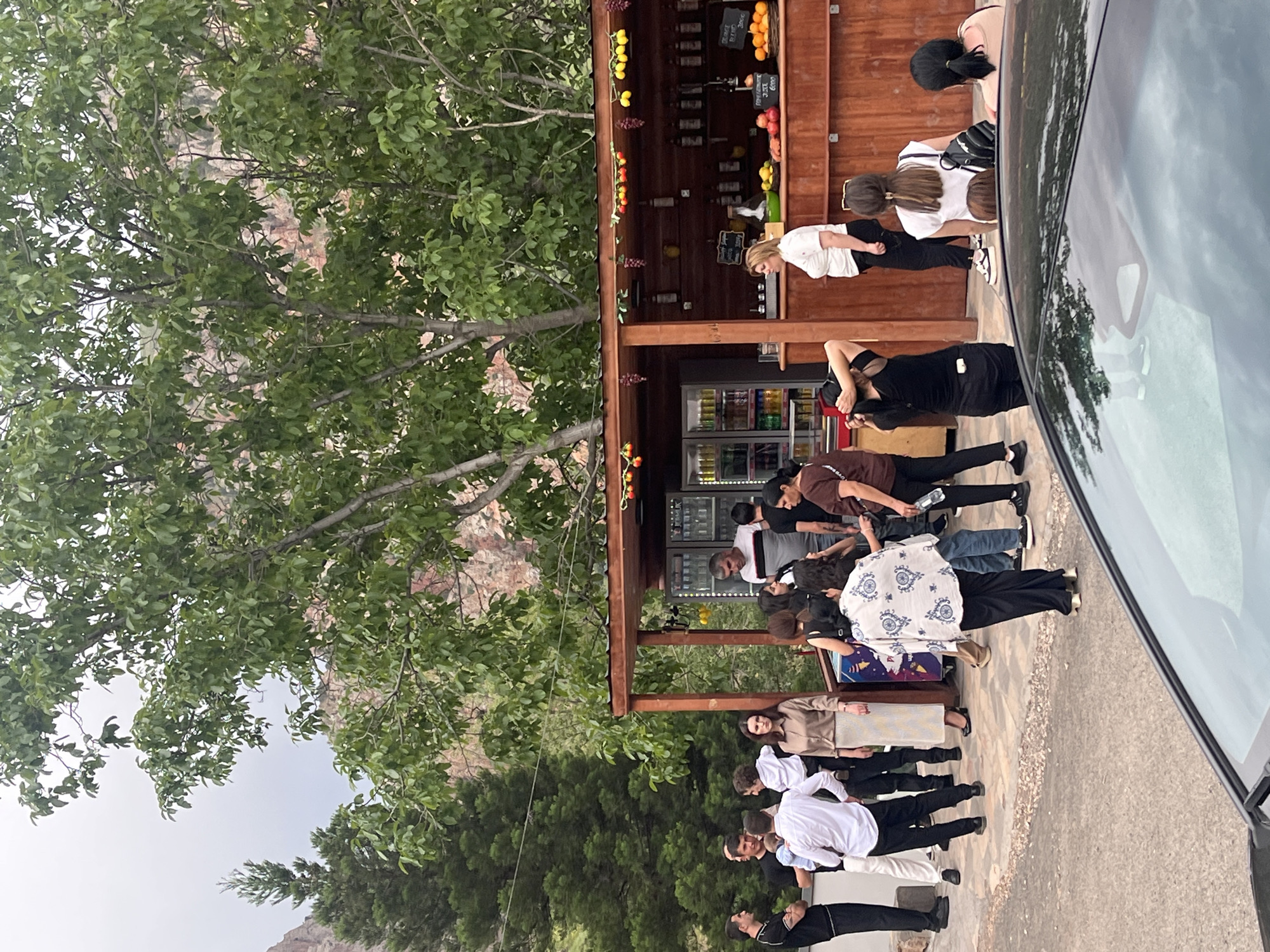 This image depicts an active outdoor refreshment stall in Areni, Armenia, set against a backdrop of rocky mountains and lush green trees. A large deciduous tree with dense foliage occupies the upper half of the frame, providing shade over the scene.
The central focus is a rustic wooden kiosk with an overhang, adorned with strings of artificial fruit including grapes, lemons, and red berries/apples. Inside the kiosk, two glass-front refrigerators are visible, stocked with various bottled and canned beverages. A wooden counter spans the front, displaying an assortment of fresh fruits such as oranges, pomegranates, and apples. Pricing signs are visible on the counter; one sign indicates "ORANGE JUICE 3000" and another "POMEGRANATE JUICE 6000".
Approximately 20-25 individuals are gathered around the stall, appearing to be customers and possibly staff. On the left side, a group of men is conversing; one man in a black t-shirt stands with crossed arms, another in a white shirt interacts with a man holding an infant, and a woman in a metallic gold blouse and striped skirt looks directly towards the camera.
In front of the counter, a crowd of people, predominantly women, are engaged in various activities. A woman in a white t-shirt and black pants is visible inside or directly in front of the stall, potentially attending to customers. Other individuals are seen from behind or in profile, facing the counter. Notable figures include a woman in a white patterned blouse and black wide-leg pants, a woman with light brown hair in a ponytail wearing sunglasses on her head and a black backpack, and a woman in a black top with her hands behind her head, seemingly adjusting her hair. Another woman in a brown t-shirt holds a plastic bottle.
The ground in the foreground consists of a paved surface with some scattered debris, leading to a dark car windshield reflecting the overhead environment in the bottom of the frame. The overall atmosphere suggests a casual gathering point or a busy roadside stand.
