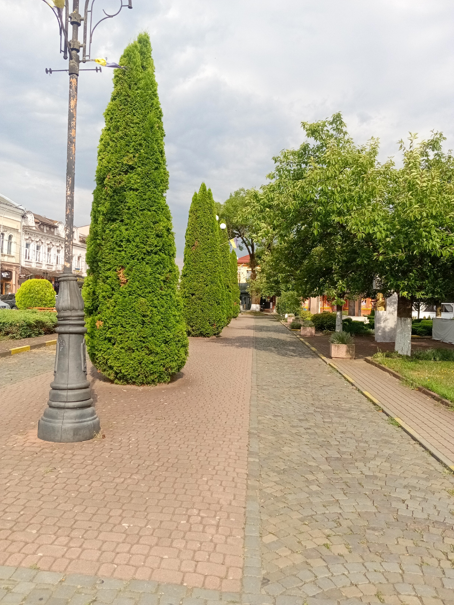 The image shows a street scene in Tiachiv, Ukraine, characterized by a paved walkway and lush greenery. The walkway is constructed with two distinct types of cobblestones: a reddish-brown cobblestone on the left and a gray cobblestone on the right, separated by a yellow line.
On the left side of the walkway, a dark gray, ornate lamppost stands prominently. Tall, conical evergreen trees are planted along this side, creating a sense of a formal garden path. Behind the trees, a row of buildings with architectural details, typical of European cities, can be seen. The buildings have multiple windows and decorative elements. Further back, a round, manicured shrub adds to the landscaping.
The right side of the walkway is lined with trees, some of which have white-painted trunks. These trees are mature and leafy, providing shade. Planters with low-growing green plants are placed along this side. In the background, a statue of a person's head and shoulders is visible, mounted on a pedestal. The environment appears to be an urban or semi-urban area with a well-maintained public space. The sky is overcast with soft clouds. No people are present in the image.