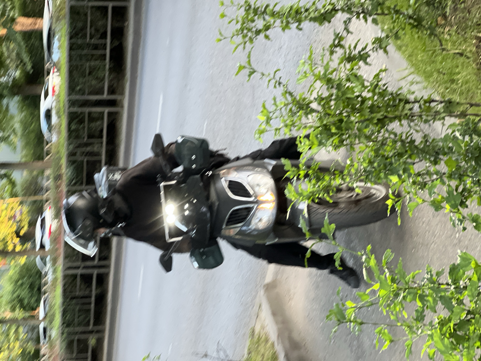 A person wearing a black helmet, black hoodie, and black pants rides a black scooter. The scooter's headlights and running lights are illuminated. The scooter has a green storage box attached to the rear. The scene takes place on a paved road, bordered by a grassy area and green bushes in the foreground. In the background, there are trees and several white cars parked along a street. The image is likely taken in Krasnodar, Russia, given the context of the request.