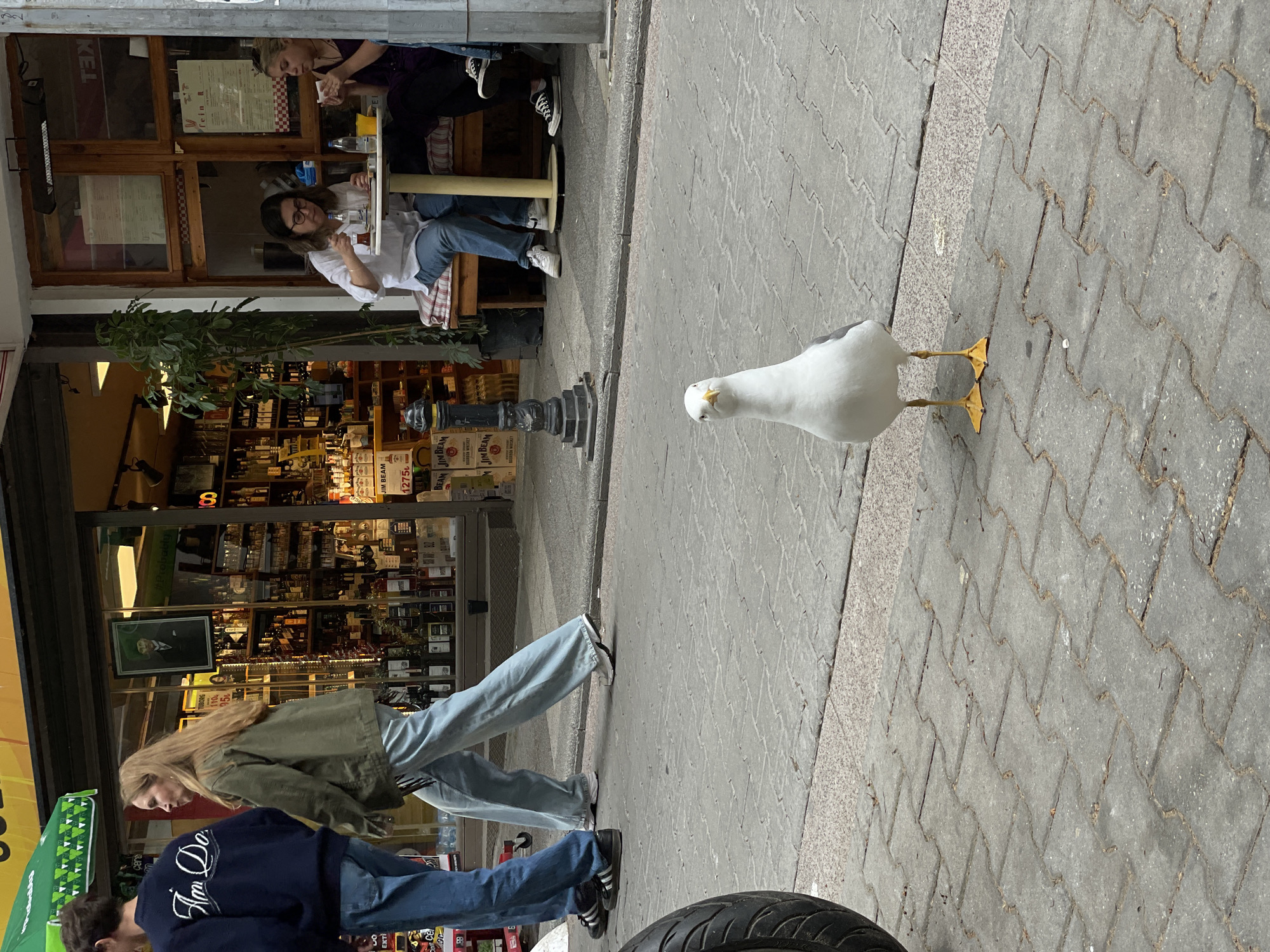 The image depicts a street scene with a store on the left and a sidewalk with people and a seagull on the right. Two women are sitting at a table outside the store, while two people are walking past the store along the sidewalk. A seagull is standing in the center of the sidewalk, looking towards the viewer. The store's shelves are filled with bottles, likely alcohol, and signage with prices like "JIM BEAM 1275" is visible. The store also has a sign for "TUBORG 110", a logo of "Probably" and a menu that says "fein" and "KEL". One person walking by the store has a sweater that says "I'm Do". The location is likely Kadıköy, Turkey, given the style of architecture and items visible in the background.