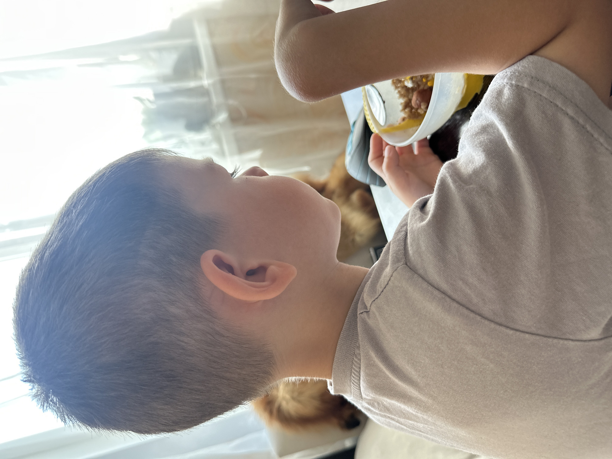 A young boy is captured in a close-up profile shot, facing to the right and engaged in eating from a clear bowl. His short, dark hair is neatly cut, and his ear is prominently visible. He wears a light-colored t-shirt. His right arm is bent, with his hand holding a spoon submerged in the bowl of food, which appears to contain cereal and possibly some fruit. The background is blurred, with white curtains suggesting an indoor setting near a window. To the left and slightly behind the boy, the furry, orange tail and hindquarters of a dog are visible, indicating its presence in the room. The overall scene suggests a casual mealtime, possibly at home. The image does not provide any specific details that would allow for the determination of its location within the city of Novoaltaysk, Russia.