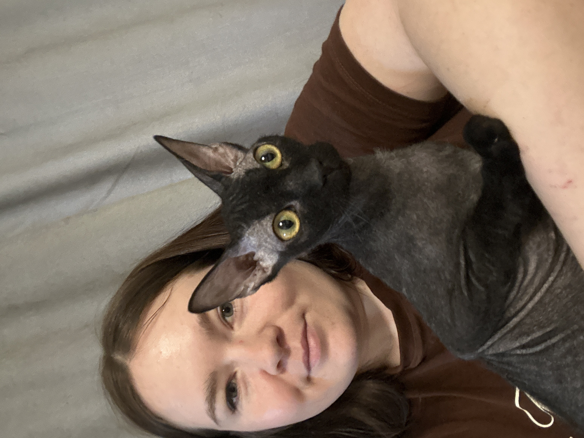 A woman is lying down and holding a cat. The cat has large ears and yellow eyes. The woman has brown hair and is wearing a brown shirt. The background is a light grey color. The picture seems to be taken indoors. There is no specific evidence in the image to determine its location as Chaikovsky, Russia.
