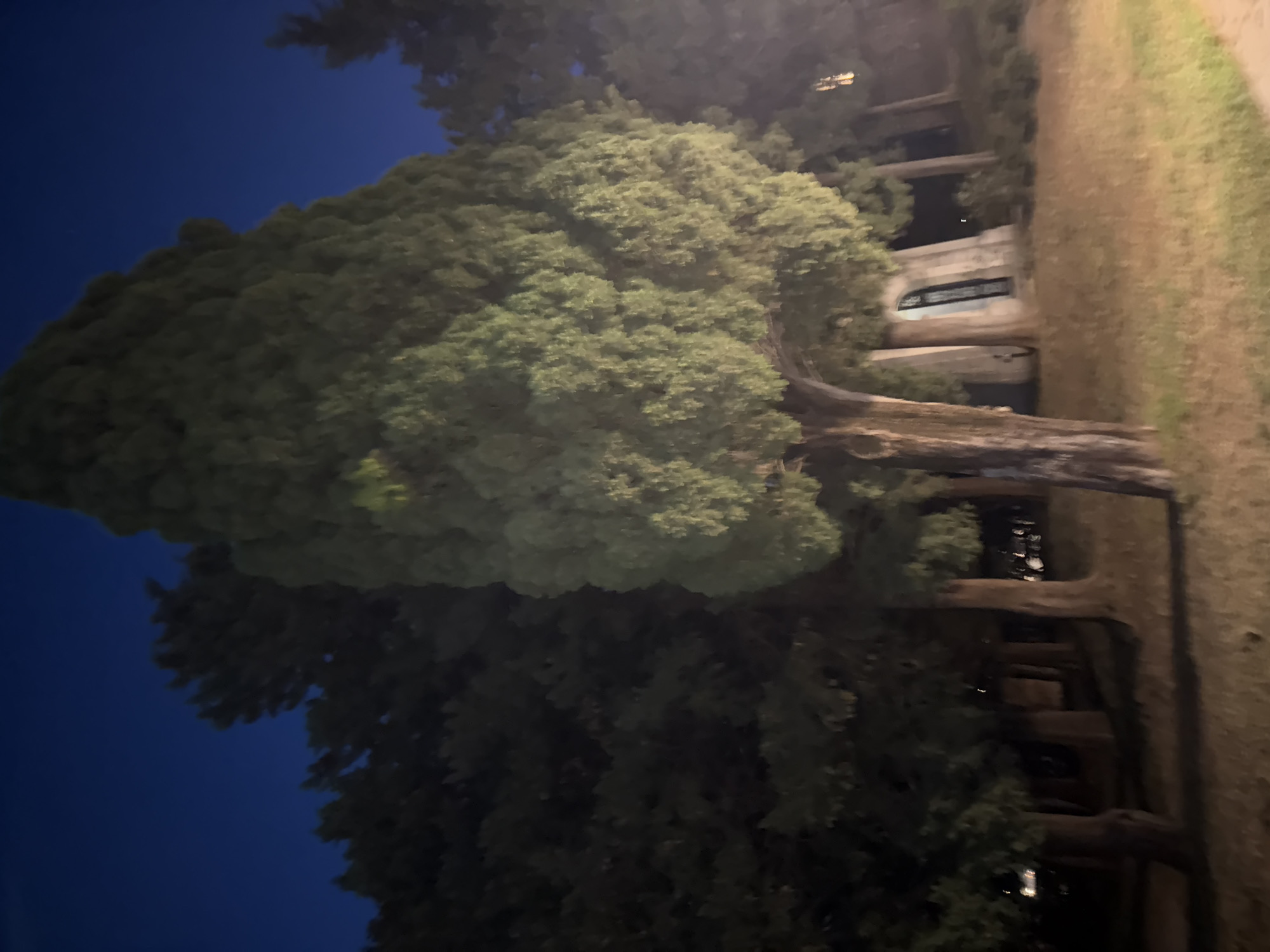 In the city of Boreti, Montenegro, a photograph taken at night showcases a row of tall trees, primarily cypress, against a dark blue sky. The prominent tree in the foreground, with its textured bark and lush green foliage, partially obscures a small, arched structure. This structure, possibly a mausoleum or a small building, features a dark entrance and is constructed from light-colored stone. The ground is covered with dry grass and some fallen leaves. The scene is dimly lit, suggesting artificial lighting sources off-camera, which create subtle highlights on the trees and the building. The overall atmosphere is serene and slightly mysterious, characteristic of a nighttime setting in a natural or historical area.