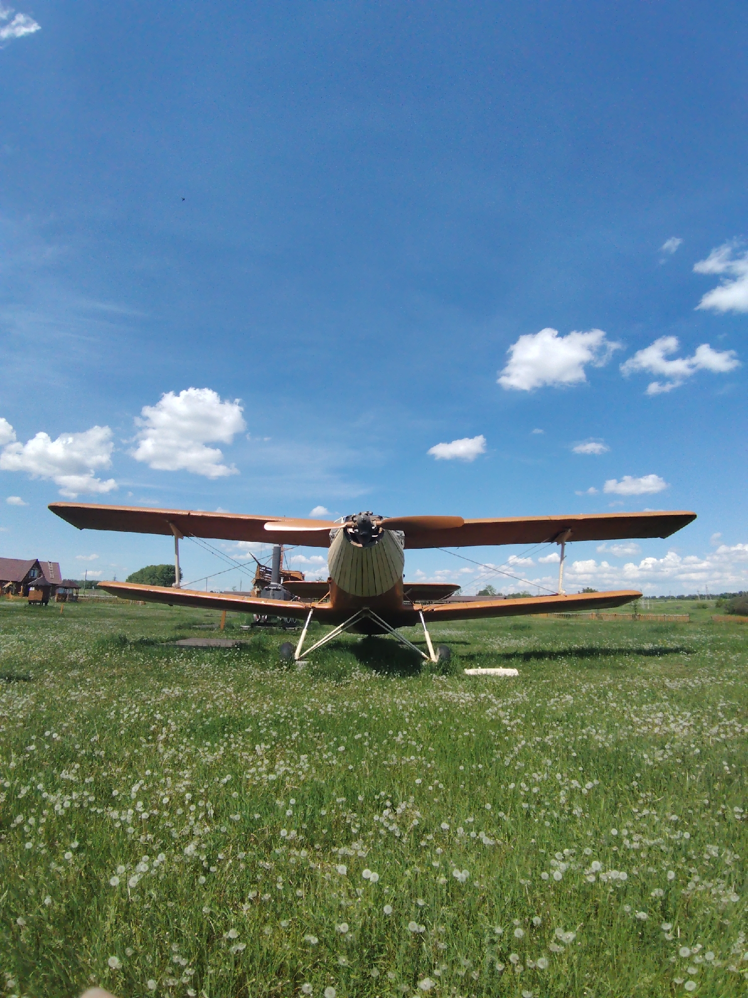 A biplane is parked on a grassy field dotted with white dandelions under a partly cloudy blue sky. The biplane is brown and has two sets of wings, with the lower wings appearing shorter than the upper wings. Its propeller is visible at the front. In the background to the left, there are a couple of small wooden buildings with brown roofs. The field extends to the horizon, where trees and a fence are visible. The sky is bright blue with scattered white cumulus clouds.
