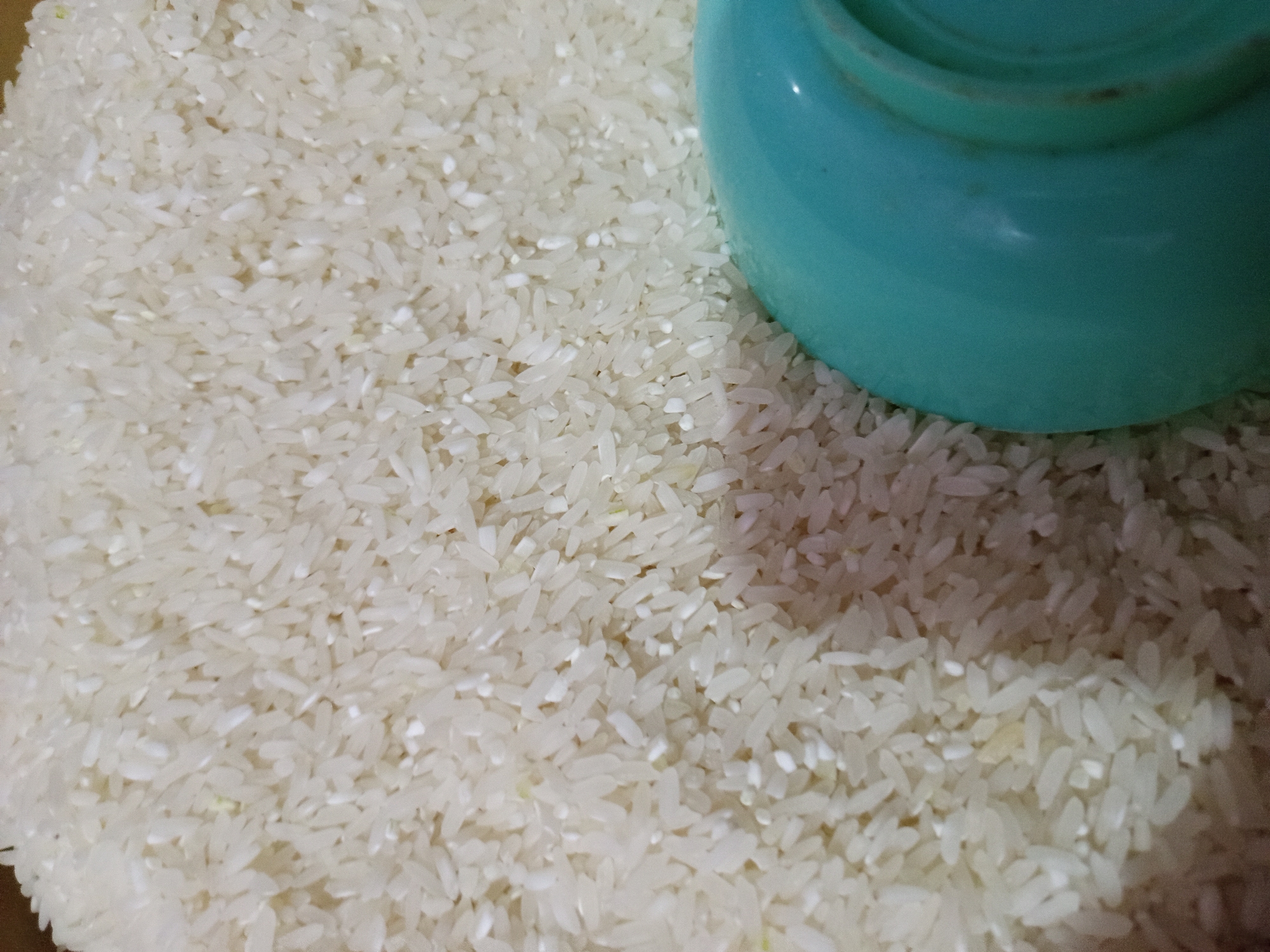 An overhead, close-up shot shows a large pile of white rice. A teal-colored bowl or container is visible in the bottom right corner, partially obscuring the rice. The rice appears to be uncooked, with individual grains clearly visible. The image does not provide any information about the city of Tebel, Indonesia, or any specific location. There are no people or actions depicted.