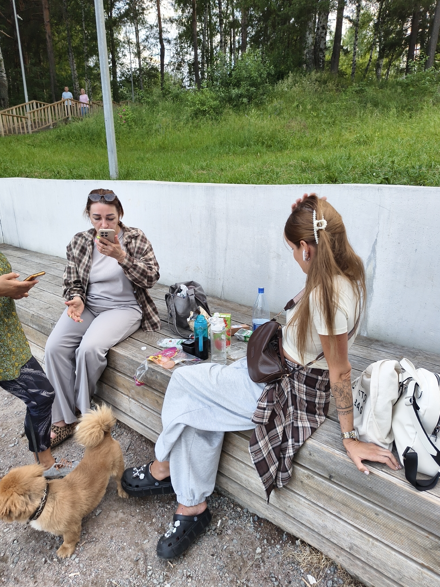 Three people are sitting on a wooden bench outdoors, with a small dog standing in front of them. The setting appears to be a park or recreational area, with trees and grass in the background. The woman on the left is looking at her phone, while the woman on the right is looking away, her hand resting on her head. The third person, partially visible on the left, is also looking at their phone.
Objects visible include two phones, a dark brown shoulder bag, a plaid shirt tied around the waist of the woman on the right, several water bottles, and two white backpacks. The dog is light brown with fluffy fur. The people are dressed casually, suggesting a relaxed atmosphere.
The time of day appears to be daytime, and the weather seems pleasant, given the outdoor setting. The presence of trees and grass suggests a natural environment. There is no visible text in the image. The scene conveys a sense of casual leisure and social interaction. The context is Chaikovsky, Russia.