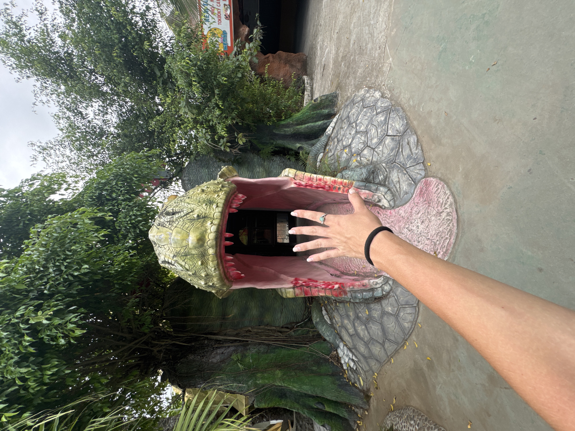 A person's arm and hand are in the foreground, reaching towards the open mouth of a large, green, snake-like creature sculpture. The sculpture has bright pink gums and sharp white teeth. The ground in front of the sculpture is a light gray concrete path, with some fallen leaves scattered about. Behind the sculpture, there is dense green foliage and trees. Further in the background, there is a brown rock formation and a building with a sign that reads "KEM TUOI TOK BOK CAY" and other Vietnamese text. The overall scene appears to be an outdoor attraction or park, possibly in a tropical or subtropical climate. The location is Hoa Lư Ward, Vietnam.