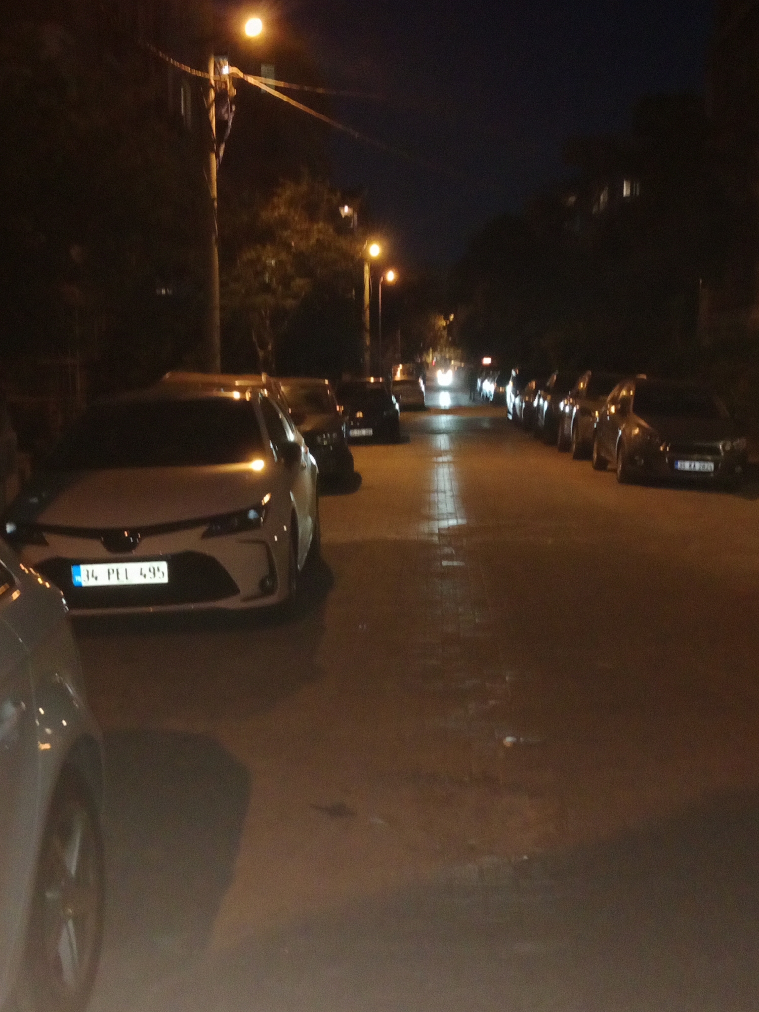 This media file captures a night-time scene on a street in Karşıyaka, Turkey. The primary subjects are several parked cars lining the right side of the road, with a prominent white car in the foreground. The street appears to be paved and wet, reflecting the streetlights and the headlights of passing vehicles, suggesting recent rain or damp conditions.
The lighting is predominantly artificial, cast by street lamps, with one particularly bright lamp illuminating a utility pole on the left side of the image. The background reveals dark trees and some buildings with illuminated windows, indicating an urban or suburban residential area. The overall mood is quiet and still, typical of a late evening or night.
Visible text includes a license plate on the white car in the foreground which reads "34 PEI 495". Another license plate is partially visible on a car further down the street, appearing to read "35 AA 2825".
The activity taking place is static – cars are parked, and the street is mostly empty of pedestrians. The time of day is clearly night, evidenced by the darkness and artificial lighting. No specific event is depicted, but the scene suggests a typical residential street at night. The lack of people and the quiet atmosphere create a sense of calm and solitude.