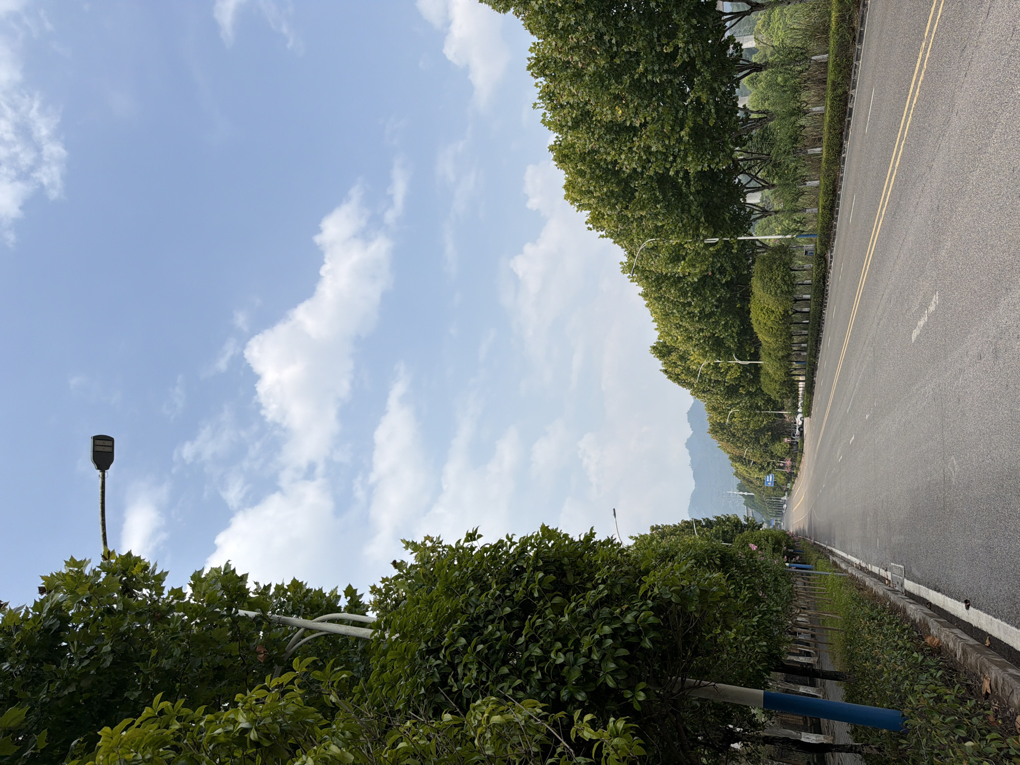 A two-lane asphalt road, lined with manicured trees and bushes, stretches into the distance in Jiangjin, China. The road is divided by double yellow lines and has white lane markers. On the left side of the road, a sidewalk is bordered by a low hedge and a concrete curb. Tall trees with green foliage overhang the sidewalk, and some of their trunks are painted with blue and white bands. On the right side, a similar line of trees and hedges runs alongside the road. In the background, mountains are visible under a bright sky with scattered white clouds. A modern street lamp with a dark fixture is mounted on a pole that extends over the left side of the road. A few cars are visible in the distance on the road. The overall scene depicts a well-maintained urban environment.