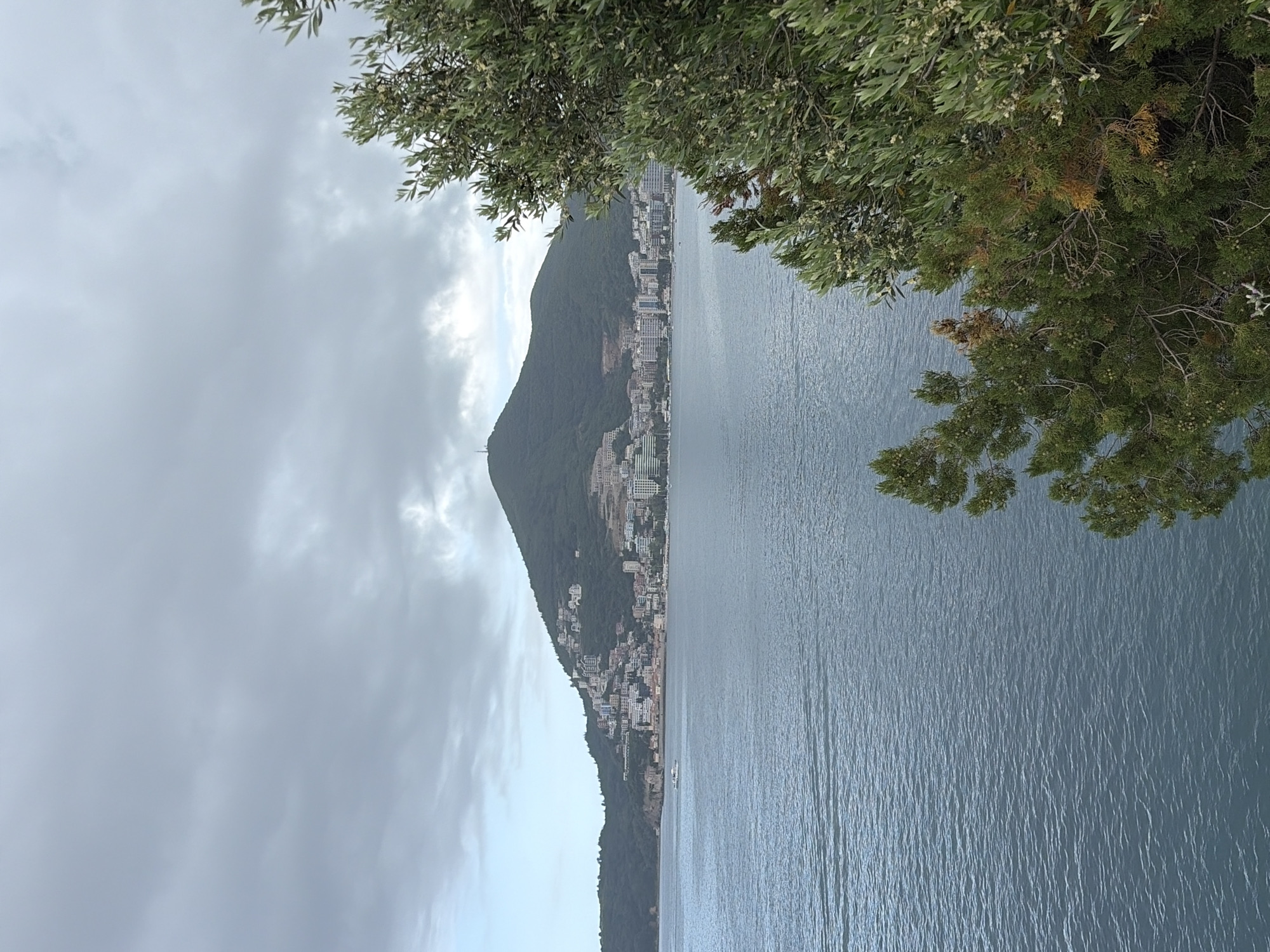 The image shows a coastal view in Budva, Montenegro, with a large mountain ridge extending into the sea. The city is built along the mountainside, with many buildings and residential structures visible. The water is calm, and there are trees in the foreground, partially framing the scene. The sky is cloudy and overcast.