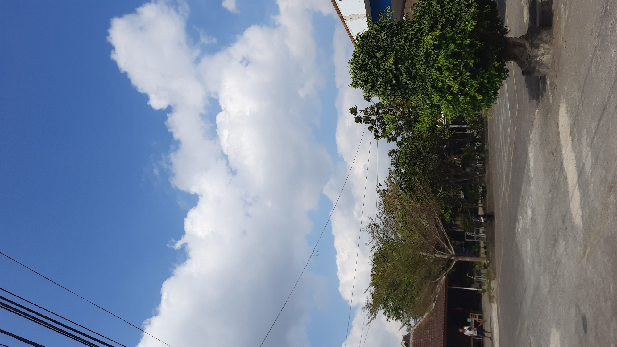 The image captures an outdoor scene with a bright blue sky filled with fluffy white clouds. In the foreground, a paved area, likely a parking lot or road, is visible. A large, dense green tree stands prominently on the right side of the frame, with its trunk resting on a concrete base. To the left, a building with a traditional tiled roof and open-air seating is situated. A person is standing near the building. Several other trees of varying sizes and foliage are scattered throughout the mid-ground, some appearing bare with thin branches. A motorcycle is parked in the vicinity of the trees. Overhead, power lines are strung across the sky, with one line forming a small loop. The environment suggests a sunny day in a semi-urban or rural setting.