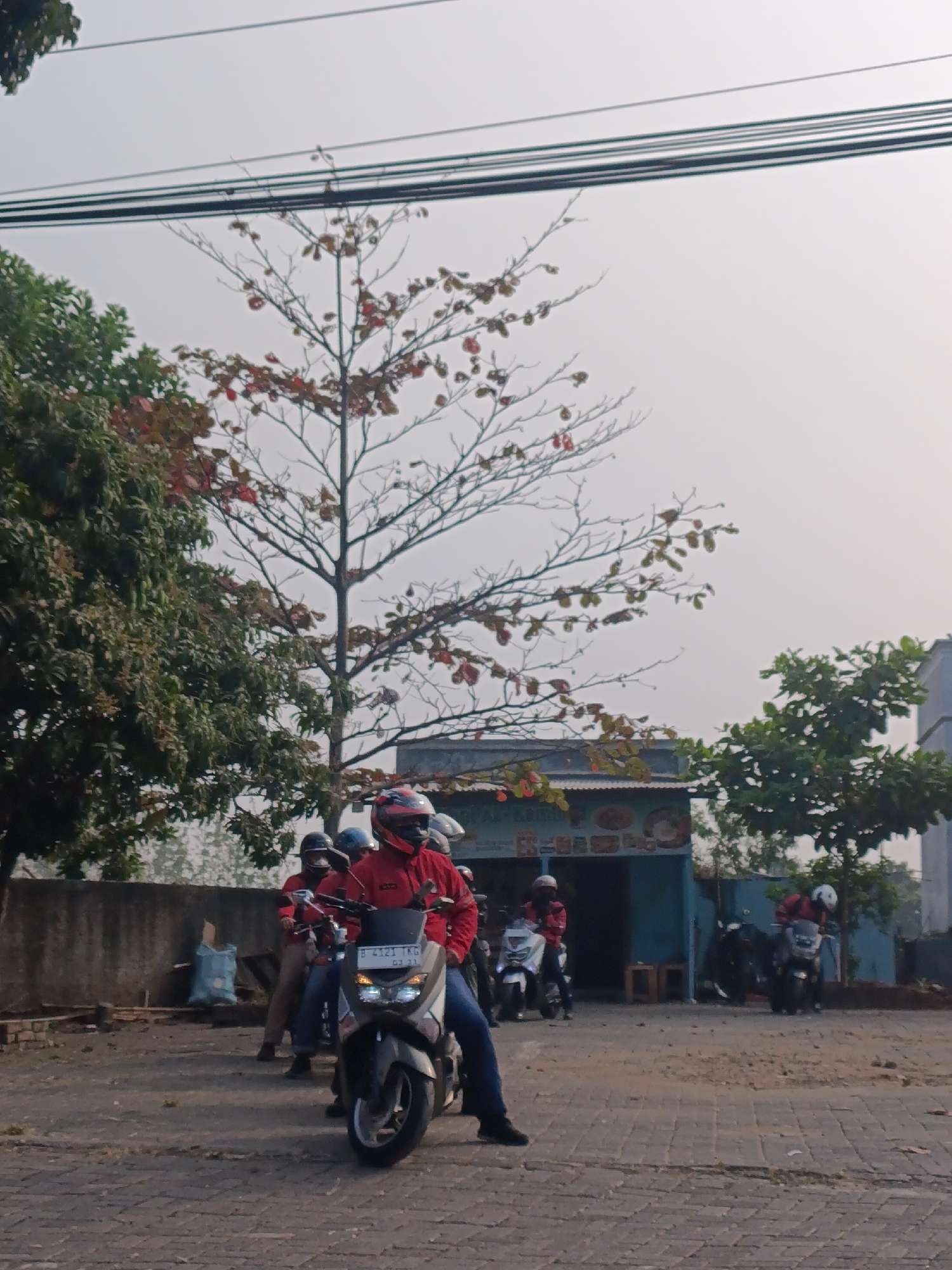 In Cariu, Indonesia, a group of individuals on motorcycles is gathered on a paved road. The central figure, wearing a red jacket and helmet, is seated on a dark-colored scooter with a license plate that reads "B 4123 TKG." Behind them, other motorcyclists are visible, some with helmets. A bare-branched tree with sparse red and yellow leaves stands prominently in the background, partially obscuring a small building with a blue facade. Green trees flank the scene, and power lines stretch across the sky. The overall atmosphere suggests a casual stop or gathering, possibly at a roadside establishment.