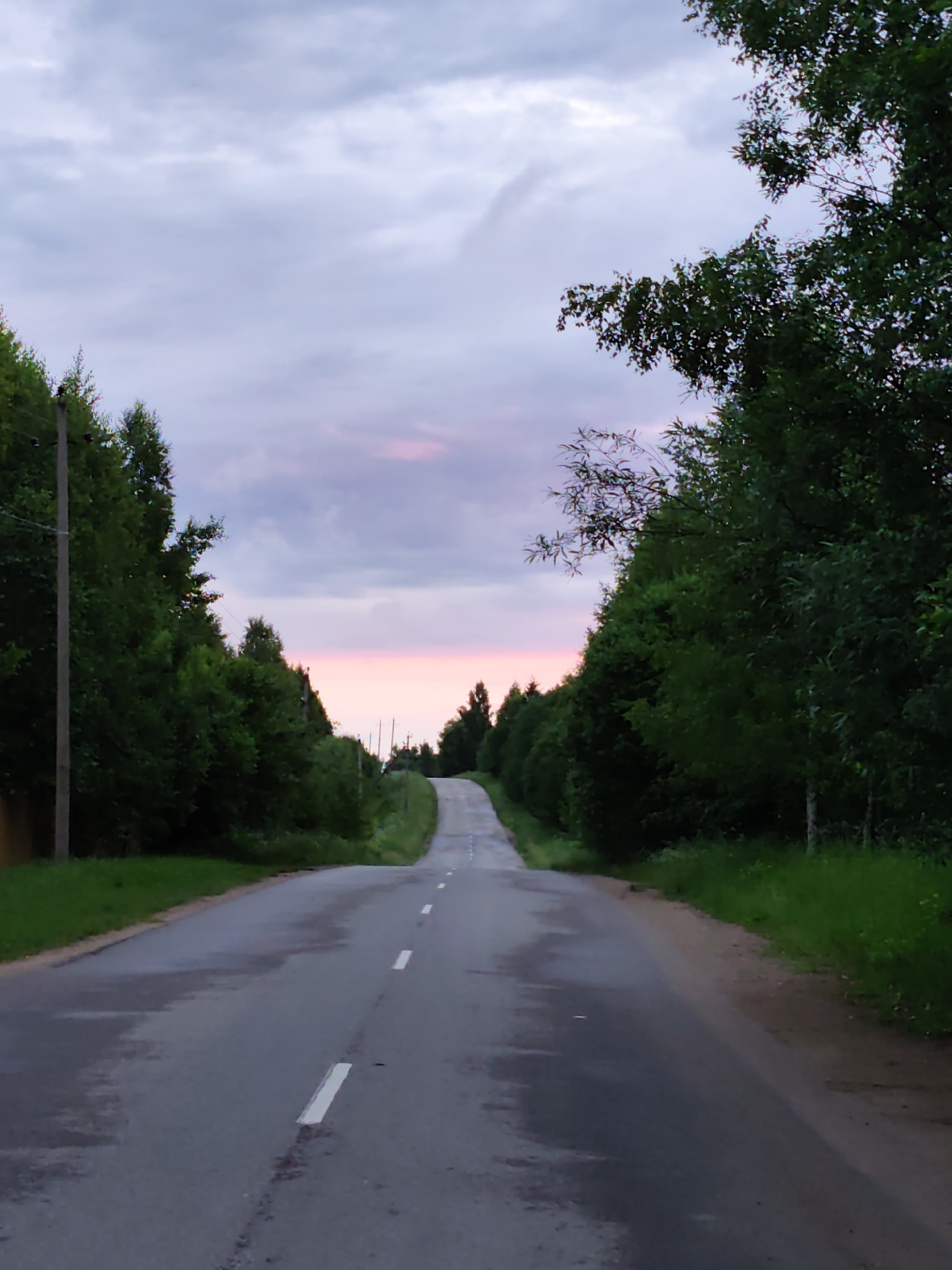 An asphalt road curves uphill through a dense forest on a cloudy day, with a faint pink and purple glow on the horizon suggesting twilight. The road is wet, with a white dashed line marking the center and occasional white bars indicating lanes. Tall green trees line both sides of the road, creating a tunnel-like effect. The sky is filled with gray clouds interspersed with streaks of pink and lavender. In the distance, the road disappears over the crest of a hill, with more trees visible beyond. The scene appears to be located in Zhirnosovo, Russia, as indicated by the surrounding birch trees, typical of the region. There are no people or animals visible in the image.