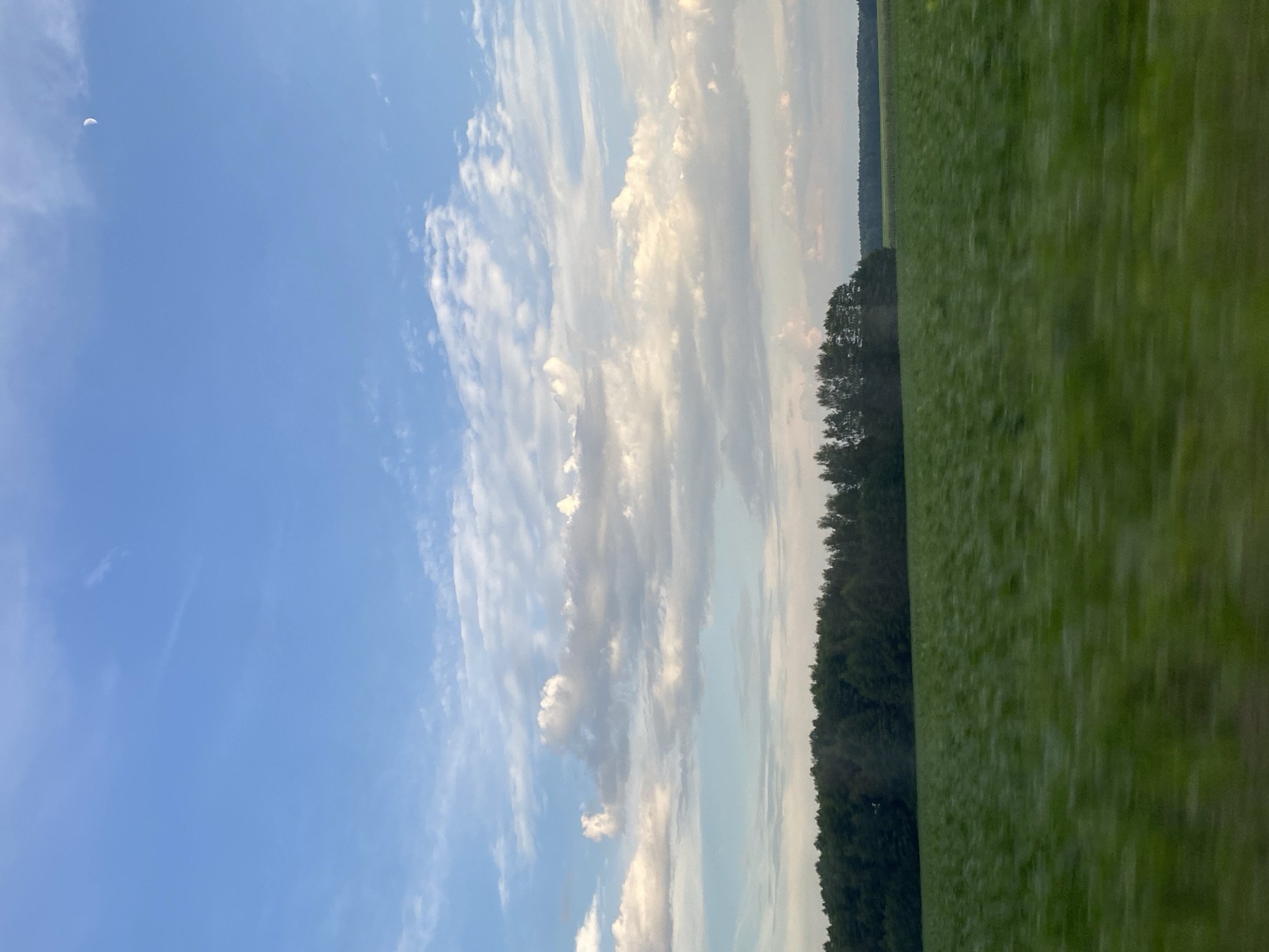 This is a landscape photograph taken during daytime in Matykalski Sel'ski Sovet, Belarus. The image features a vast green field in the foreground, appearing slightly blurred due to motion. In the midground, a dense line of dark green trees forms a treeline stretching across the horizon. Above the trees, a wide expanse of blue sky is visible, dotted with white and gray clouds of varying sizes and densities. A sliver of the moon is faintly visible in the upper right portion of the sky. The overall scene depicts a rural, open environment with natural elements.