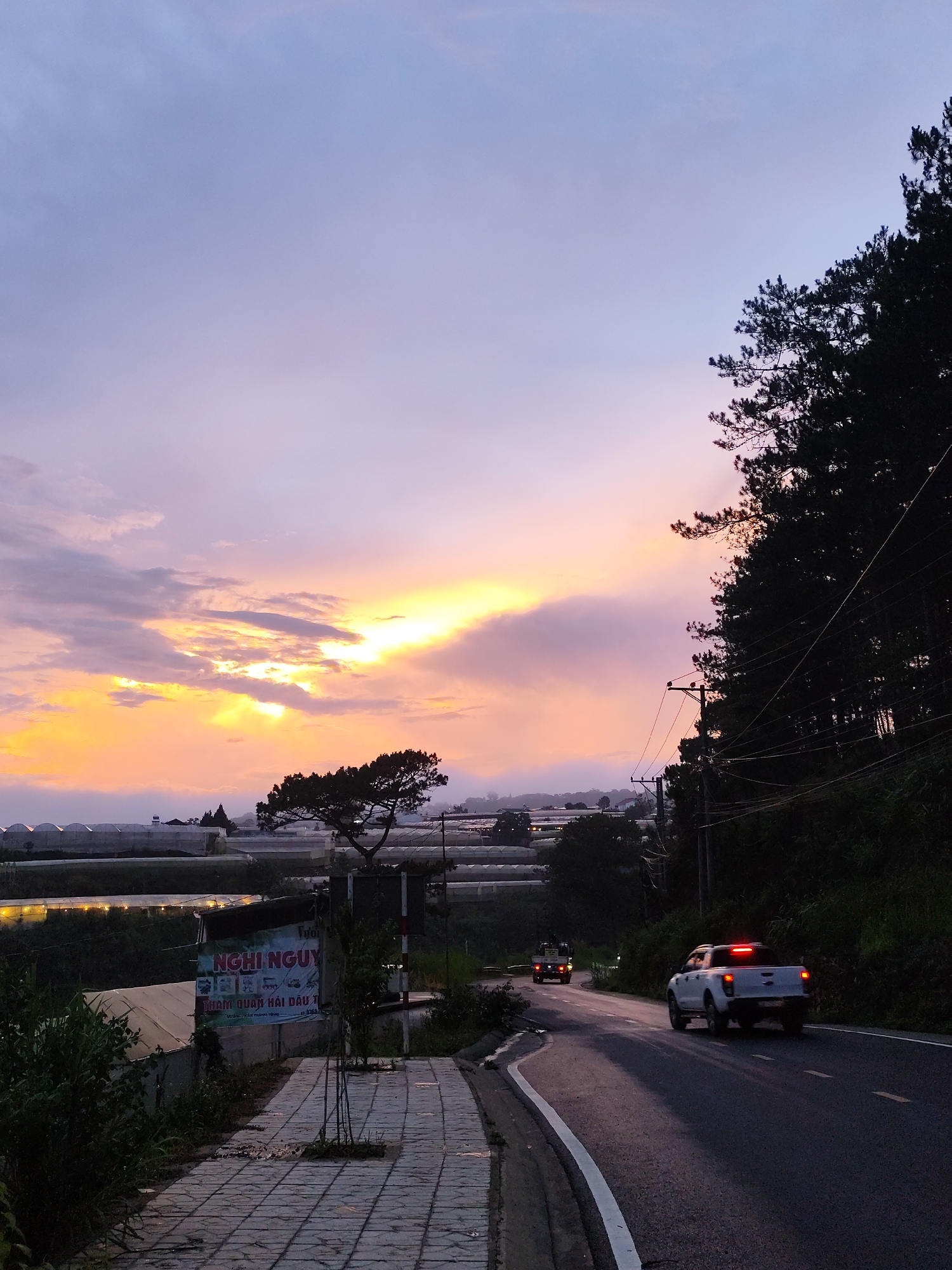 Captured in Da Lat, Vietnam, the image presents a road winding into the distance under a dramatic sky. The sky is ablaze with hues of yellow, orange, and purple, indicative of either sunrise or sunset. To the left, rows of greenhouses stretch across the landscape, partially veiled in mist. A prominent, solitary tree stands near the edge of the road. A sidewalk constructed of rectangular stones runs alongside the road. Vehicles, including a white pickup truck with illuminated taillights, move along the asphalt road, which is marked with a solid white line on the left side. Trees densely populate the right side of the image, their silhouettes merging with the twilight. A sign bearing Vietnamese script and imagery is visible near the sidewalk. Utility poles and wires are strung along the roadside.