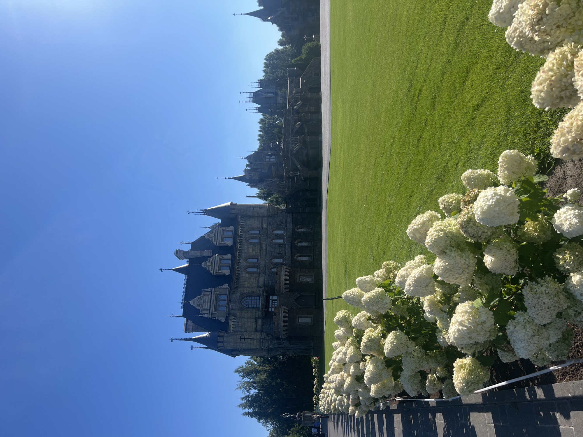 This is a wide, eye-level, outdoor shot of the medieval-style Garad Dubov estate, located in Khryashchevka, Russia. The estate is characterized by its gothic architecture, with multiple towers, spires, and ornate facades. The main building is a large, dark stone structure with a steep, dark roof. In the foreground, a manicured lawn stretches out, bordered by a walkway and a dense row of white hydrangeas in full bloom. The sky is a clear, bright blue, with no clouds visible. A few people are visible in the distance, walking along the path, but they are not the focus of the image. The overall scene evokes a sense of grandeur and tranquility.