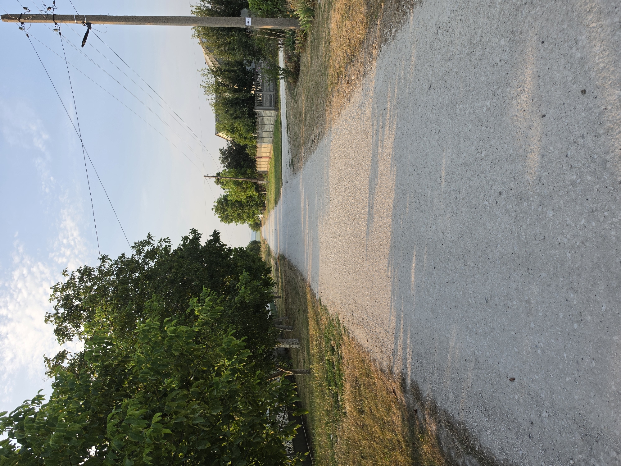 The image depicts a straight, unpaved road in the village of Agronomovca, Moldova. The road is composed of light-colored gravel and extends into the distance, appearing to lead out of the village. On the left side of the road, a line of trees with full green foliage are planted along a fence. The grass on the left side of the road is a mix of green and dry, yellowed patches. On the right side of the road, the environment is characterized by more scattered trees and vegetation, a grey concrete fence, and the presence of a concrete utility pole with overhead wires and a street lamp attached. The sky is blue with scattered white clouds, indicating a clear day. The overall scene is quiet and rural.