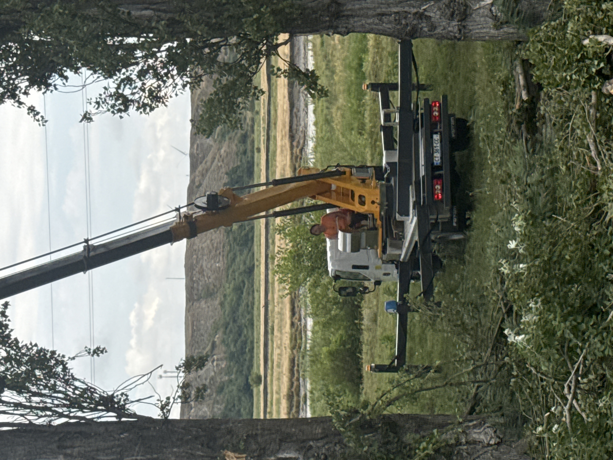 A medium shot captures a yellow crane truck with an extended boom positioned on a grassy area. A person in an orange shirt sits in the crane's operator seat. The truck has a license plate reading "CT 361-CC". The foreground is filled with cut branches and foliage. In the background, a river or body of water is visible, bordered by dry, hilly terrain. The sky is overcast with scattered clouds. The scene appears to be in a rural or semi-rural environment outside the city of Kvemo Khvedureti, Georgia, possibly at a construction or landscaping site.