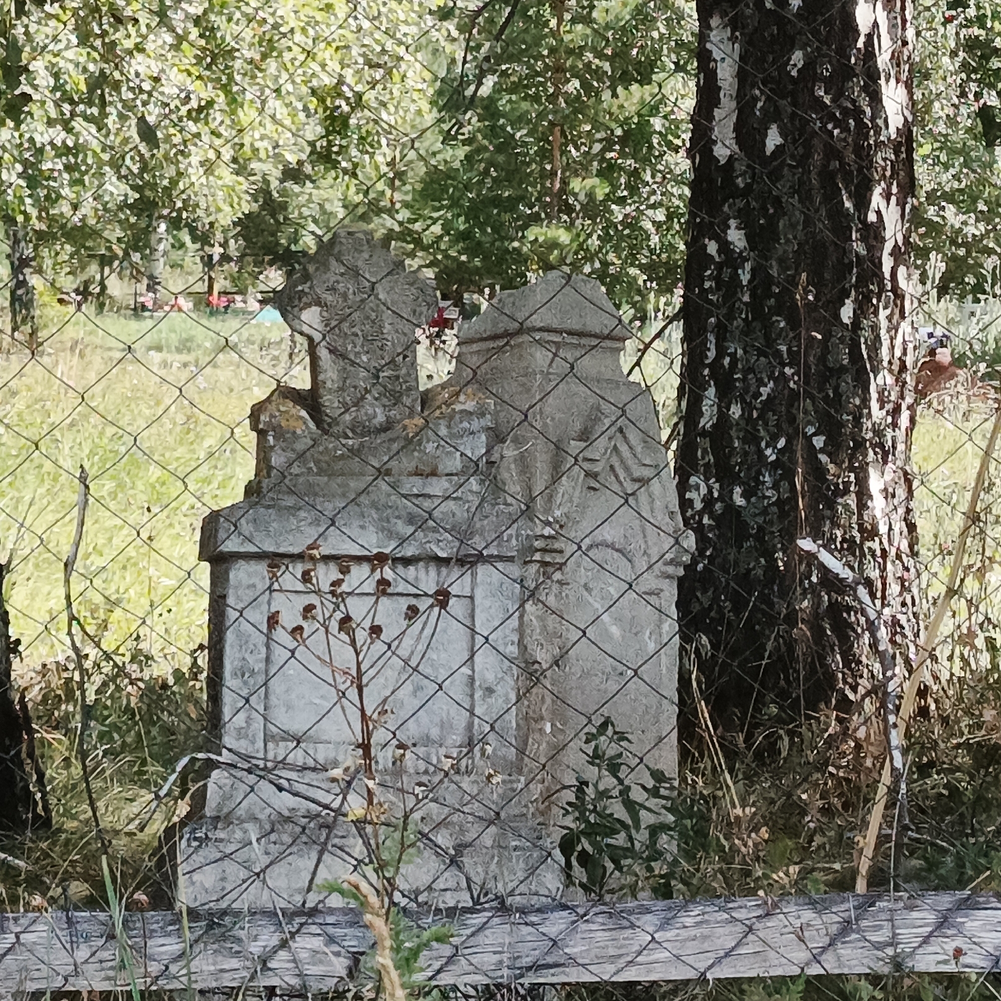 The image shows a gravestone, partially obscured by a wire fence and vegetation, in what appears to be a cemetery. The gravestone is made of stone and has a weathered appearance. There is a tree with dark bark next to the gravestone. In the background, there are trees with green foliage and an area of grass. There are also some small, dried plants in the foreground. The overall scene suggests a rural or semi-rural environment. The query implies the location is Тугустемир, Russia.