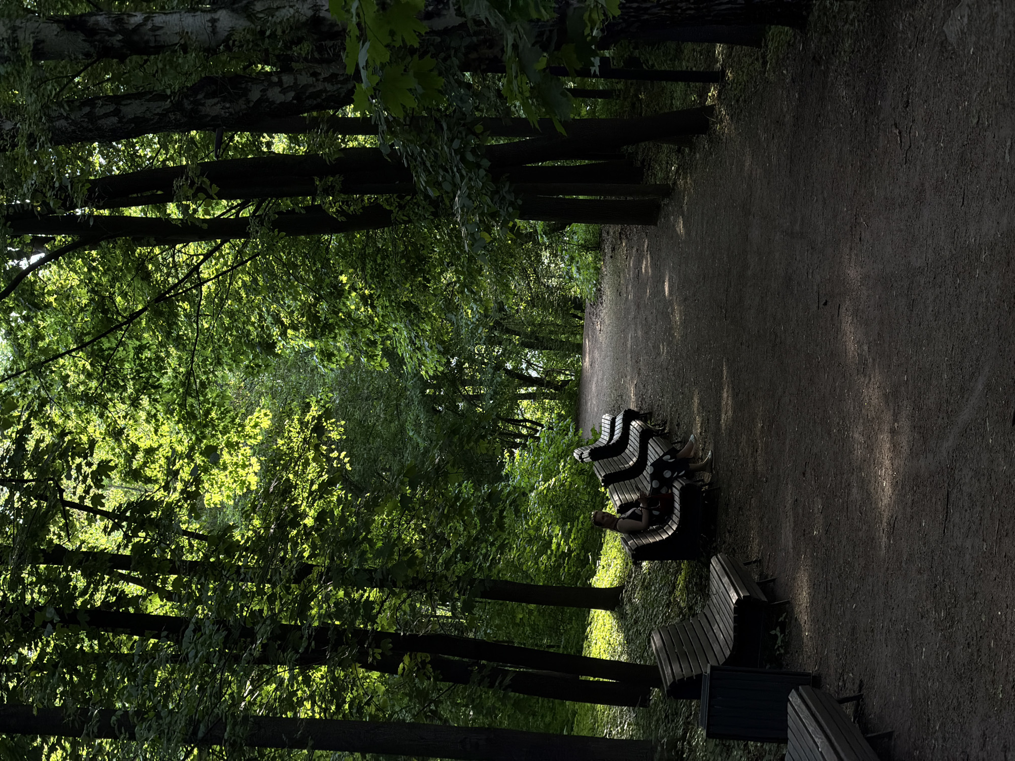 The image shows a pathway in a wooded area, likely a park, in an unknown city and country. The pathway is unpaved and composed of dirt or gravel. On the right side of the pathway are wooden benches. A person is sitting on one of the benches, but specific details about the person are indiscernible. The surrounding environment is densely populated with trees, creating a shaded area. Sunlight filters through the leaves, casting dappled light on the ground.