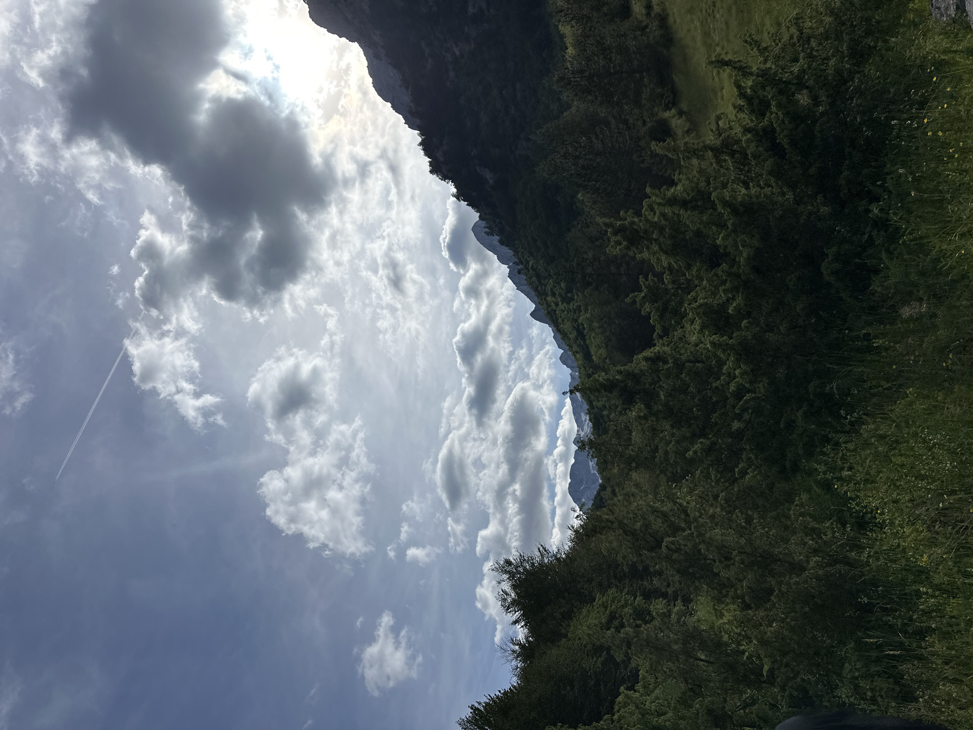 The image depicts a mountainous landscape with a dense forest in the foreground. The sky is partly cloudy with a contrail from an airplane visible. The sun is partially obscured by clouds, creating dramatic lighting on the mountains in the background. The vegetation appears lush and green, suggesting a natural, possibly rural or wilderness setting. The location is identified as Dolja, Montenegro. There are no people or specific objects of note visible in the scene, only the natural environment.