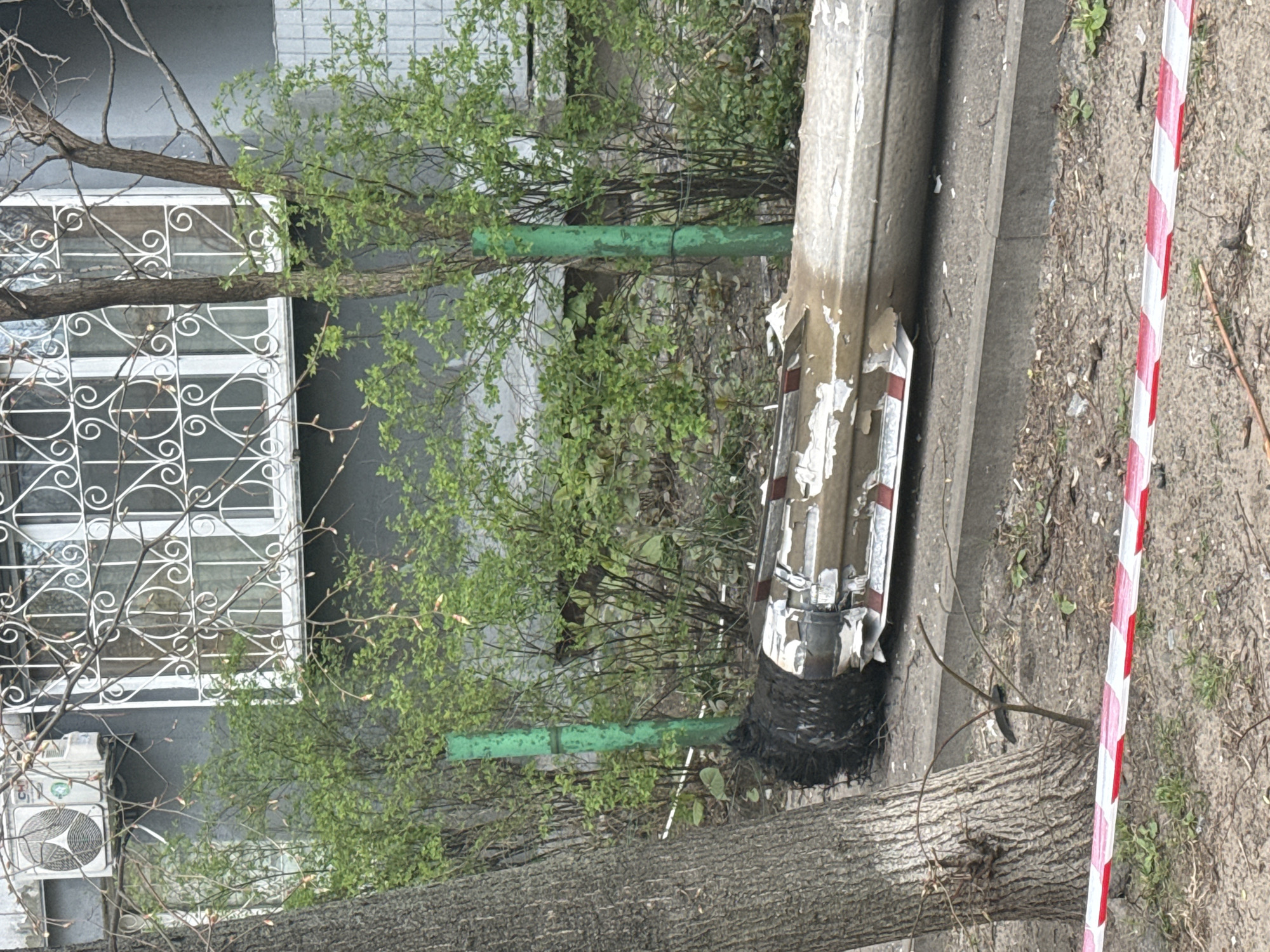 The image shows what appears to be the remains of a missile lying on the ground, close to a curb. It has a cylindrical shape with damaged white and red markings. There is black debris surrounding the base of the missile. A tree trunk is located in the foreground partially obscuring the missile. Red and white striped caution tape is also visible in the foreground. In the background, a building with a window and an air conditioning unit is visible. The photo was taken during the day in Kyiv, Ukraine. There are no people visible in the image.