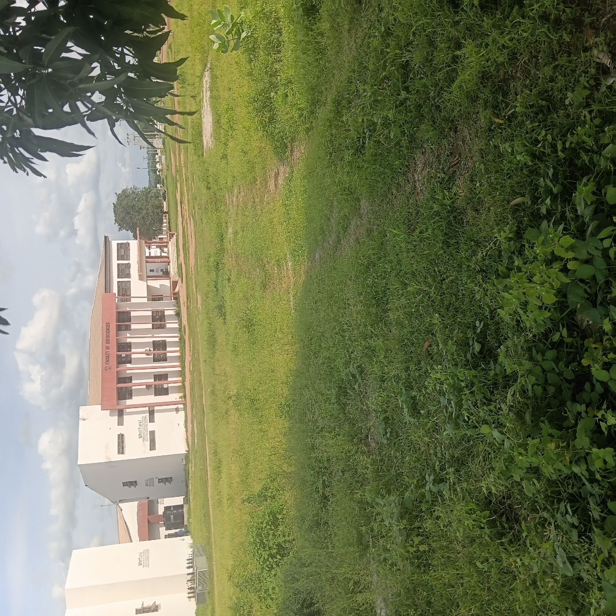 The image depicts a wide view of an academic facility, likely a university campus, in Wukari, Nigeria. In the background, a white building with a red trim is visible, bearing the inscription "FACULTY OF BIOSCIENCES". Several smaller white buildings are also present. The foreground is dominated by a large, overgrown grassy field with a dirt path winding through it. A large tree with dark green leaves is visible on the right side of the frame, partially obscuring the sky. The sky itself is cloudy. The overall scene suggests an outdoor environment on a partially overcast day.