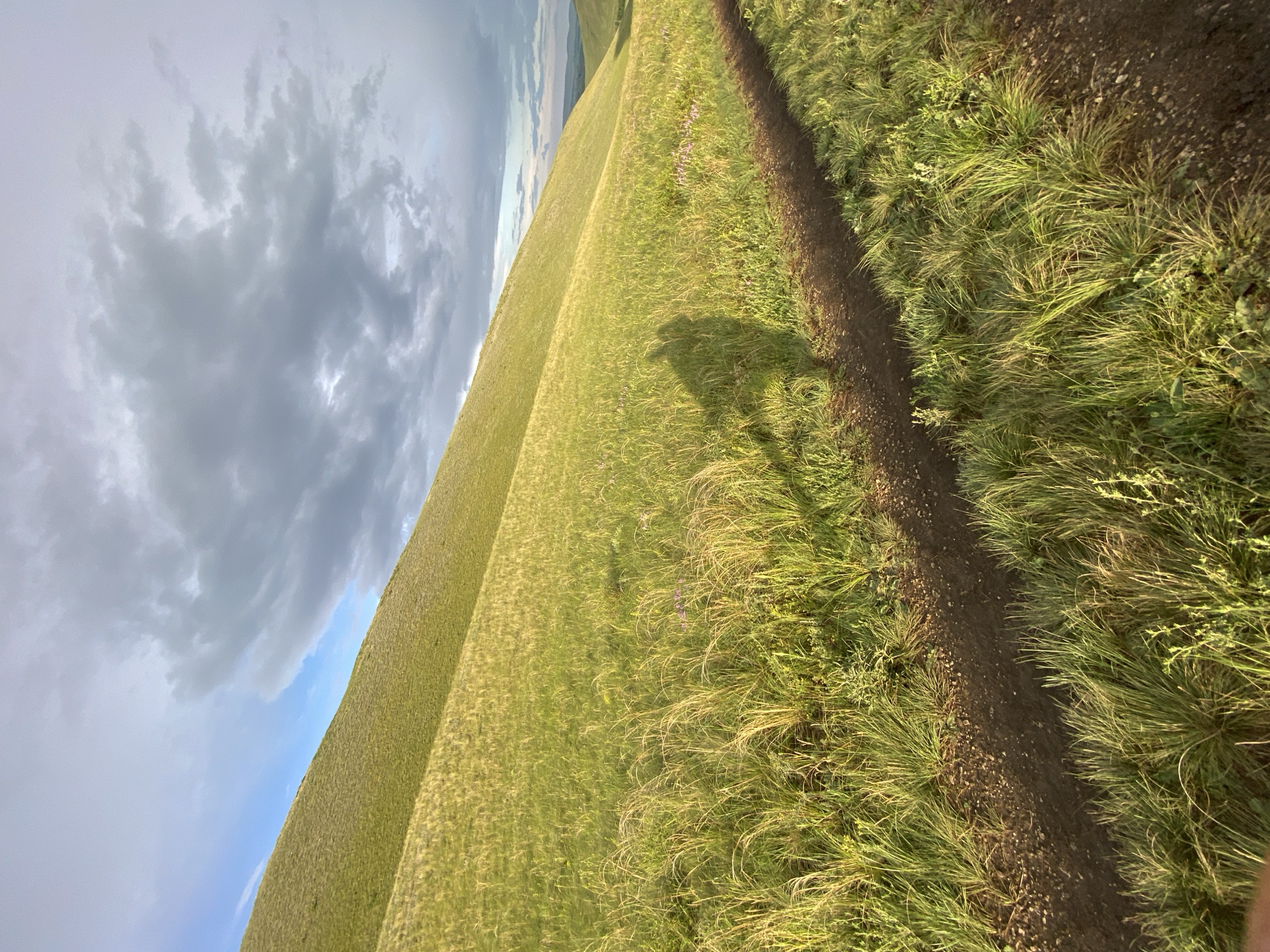 The image shows a grassy hillside with a dirt path winding through it. The sun is casting long shadows, including the silhouette of a person on a bicycle. The sky is partly cloudy with a mix of blue sky and grey clouds. The overall scene is one of a natural landscape, likely a park or rural area. The location in the city of Donskoe, Russia is not explicitly visible in the image, but the scene suggests a natural, possibly hilly terrain.