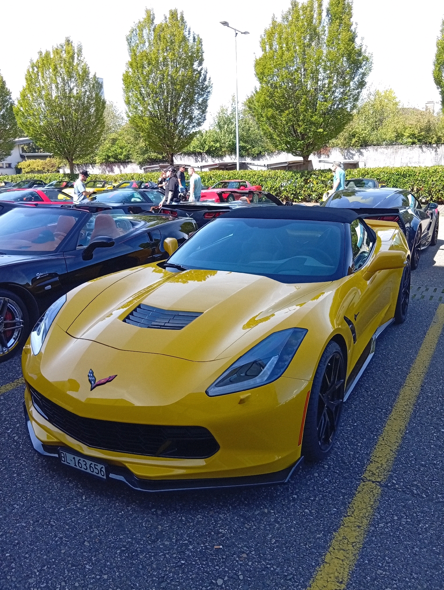 In Langenthal, Switzerland, a yellow Chevrolet Corvette convertible is parked in an outdoor lot. The car is the primary subject, positioned at an angle facing forward. The license plate, "BL-163 656", is clearly visible. Several other cars, including red and black sports cars, are parked in the background, and a group of people are standing near them, seemingly engaged in conversation or admiring the vehicles. Tall trees with green foliage and a wall are visible in the background. The ground is asphalt with yellow parking lines.