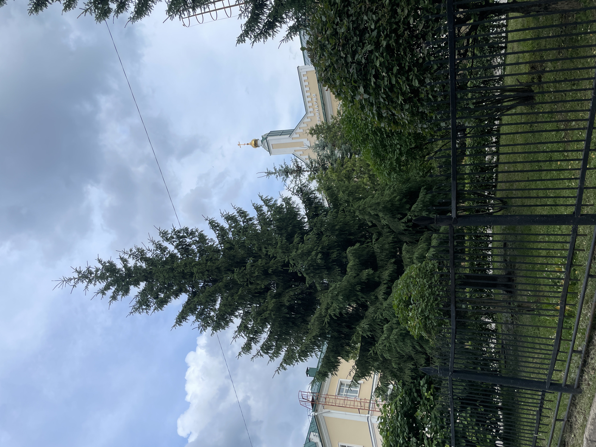 This is a ground-level, eye-level, vertical shot of a city street in Perm, Russia, with a large fir tree in the foreground. The tree is tall and full, with its branches extending towards the sky. Behind the tree, a light yellow building with a green roof and a gold-domed cupola is visible. The word "СЕМИНАРИЯ" (Seminaria, meaning Seminary) is written in white letters above the building's entrance. A black metal fence runs across the bottom of the image, separating the viewer from a grassy area and more greenery. The sky is overcast with some visible clouds. A red fire escape is attached to the side of the building.