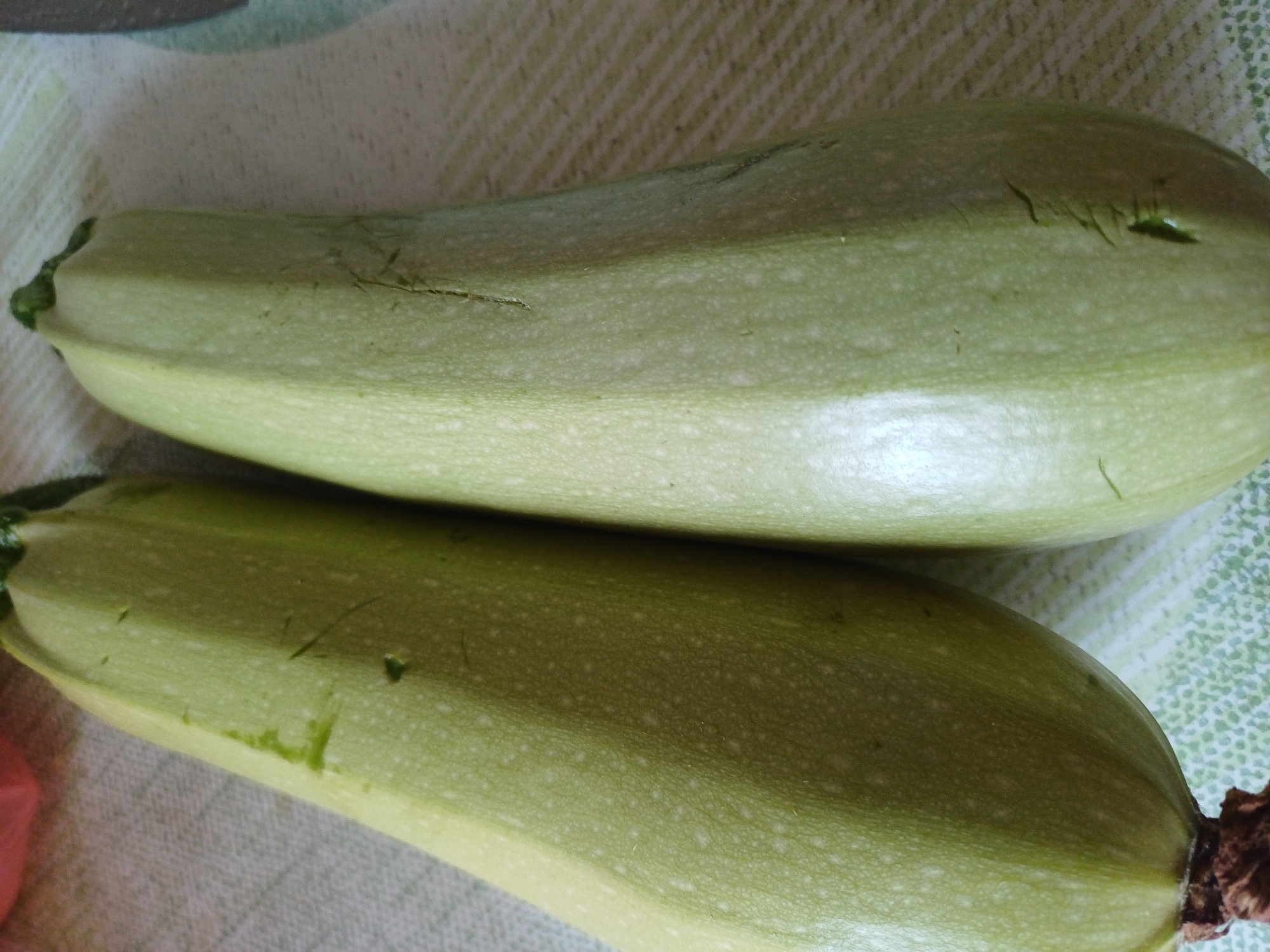 Two light green zucchinis are displayed on a patterned tablecloth. The zucchinis are oriented vertically, with the wider end at the bottom and tapering towards the top. Both have visible scratches and minor imperfections on their skin. The tablecloth features a repeating pattern of small green dots and thin, diagonal green lines. The background is out of focus, but hints of other objects and colors are visible. The overall lighting suggests an indoor setting, likely a kitchen.