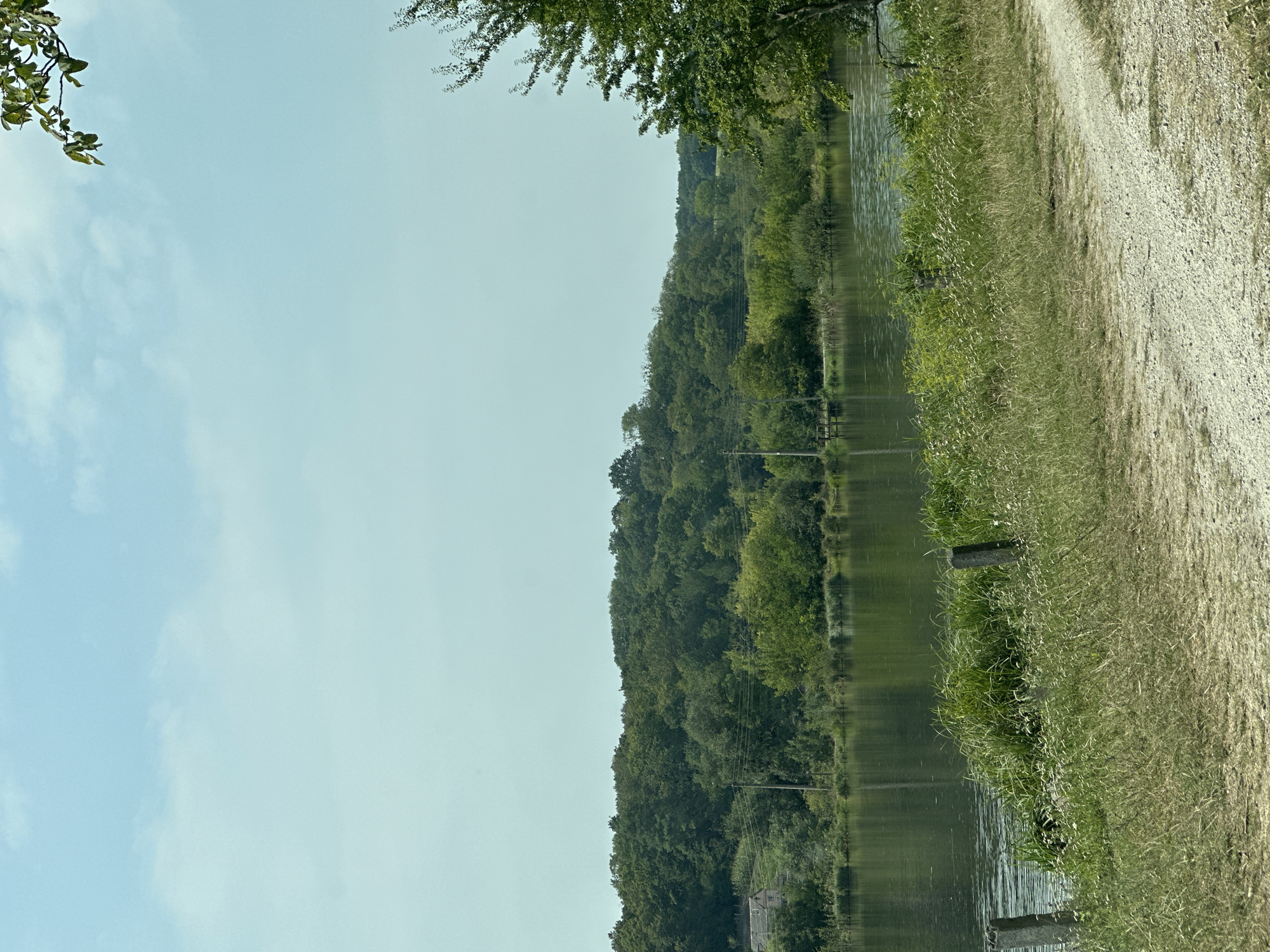The image depicts a tranquil natural scene overlooking a body of water, possibly a lake or river, bordered by lush green trees and vegetation. In the background, a dense forest covers rolling hills, creating a picturesque landscape. The sky is a pale blue with scattered clouds, suggesting a pleasant, possibly summer day. In the foreground, a dirt path curves to the right, flanked by tall, dry grass and interspersed with a few wooden posts, indicating a rural or natural setting. The water's surface is calm, reflecting the surrounding greenery. The scene is devoid of human presence, focusing solely on the natural environment. The location is identified as Makiv, Ukraine.