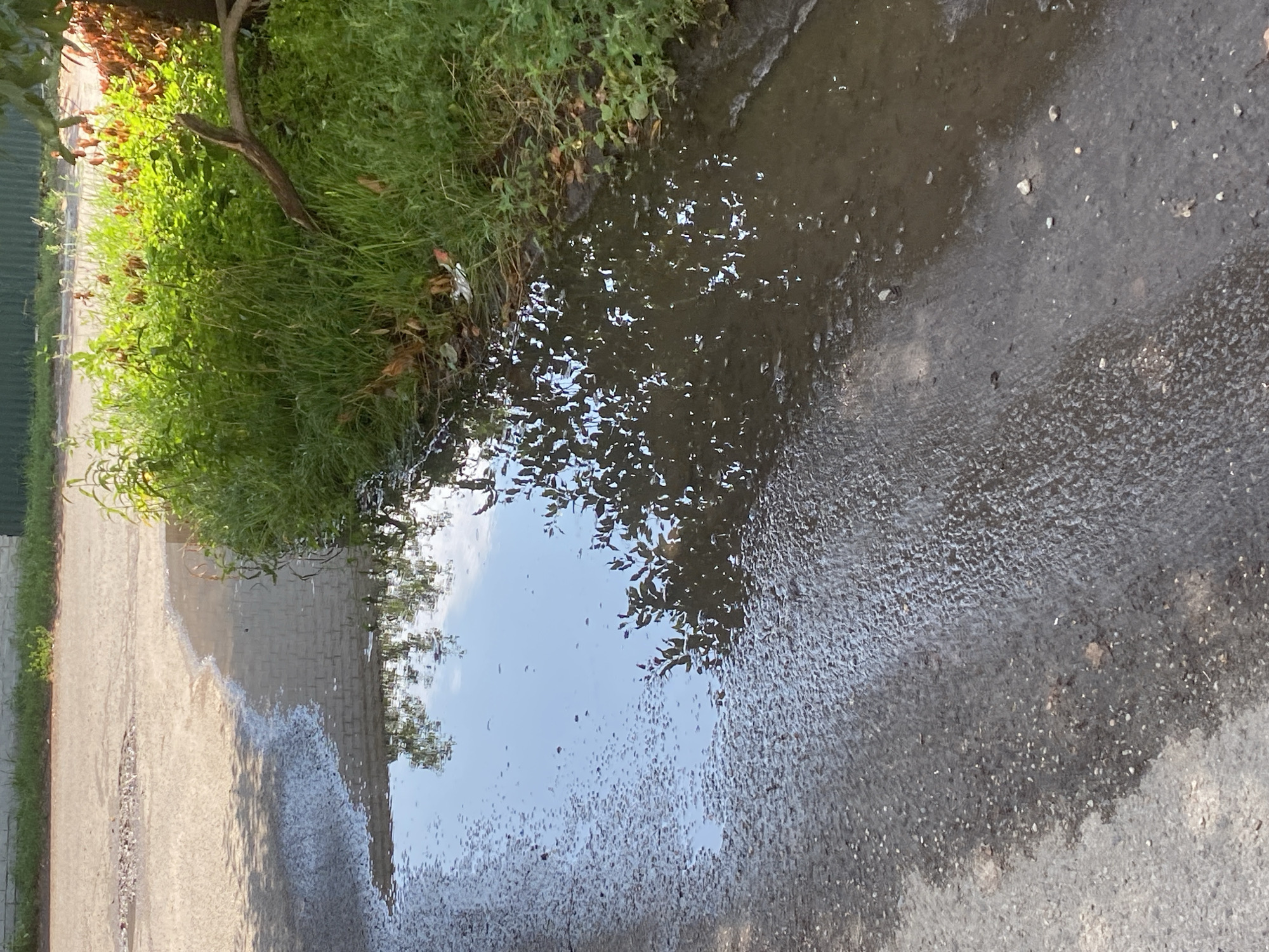 The image shows a puddle on an asphalt surface, likely a street or sidewalk, with a patch of green grass and vegetation to the right. The puddle reflects the sky and the foliage of a tree. There is a dry, cracked area with small pebbles on the asphalt further to the left. A brick wall is visible in the background, bordering the vegetated area. The scene appears to be outdoors in an urban or suburban setting. The location is identified as Poltava, Ukraine. There are no people visible in the image.