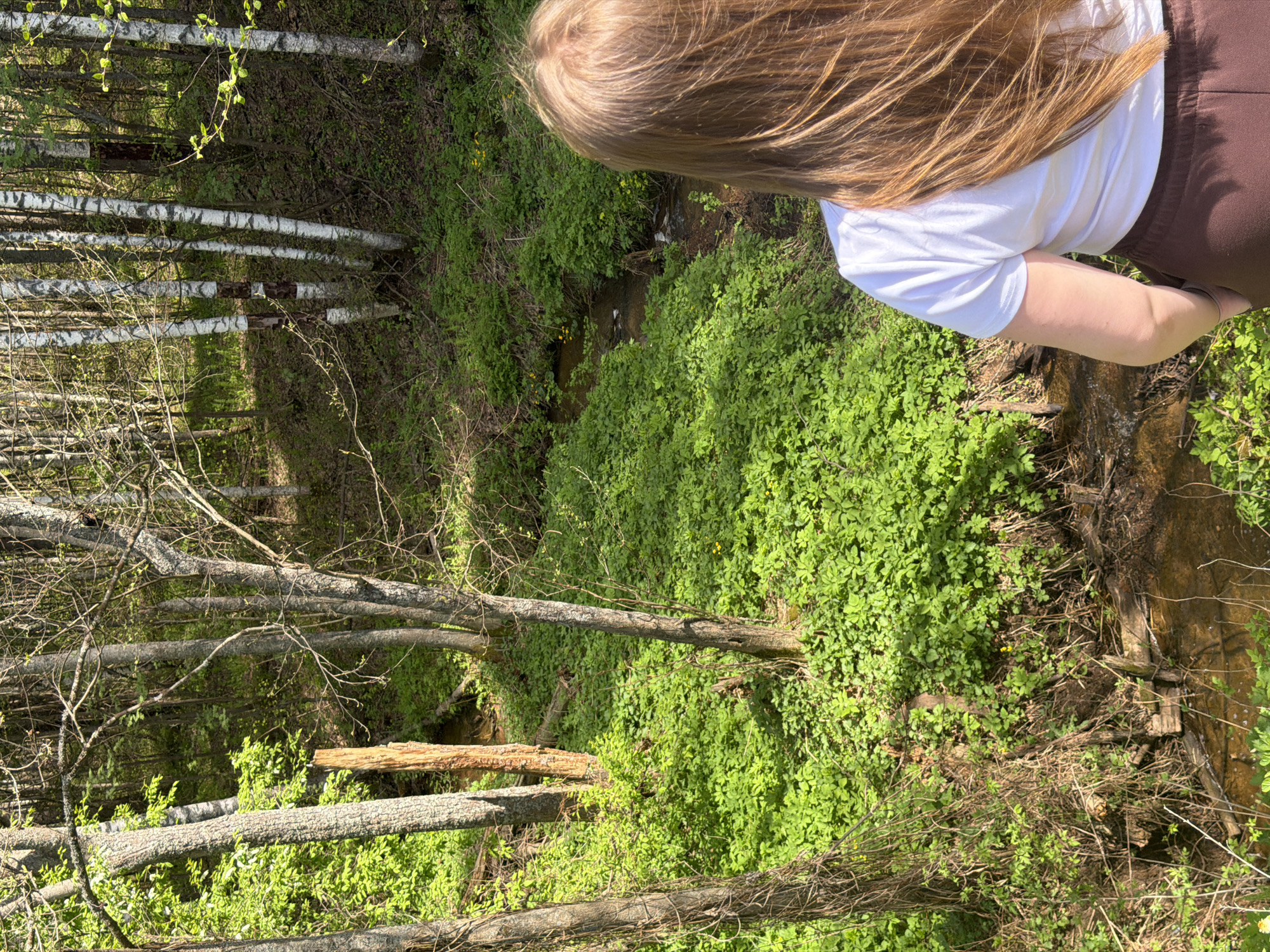 A person with long blonde hair is standing near a small, overgrown stream or ravine in a wooded area. The person is wearing a white shirt and brown pants. The area is covered in lush, green foliage and trees, including birch trees with white bark in the background. There is no specific evidence to conclusively indicate this image was taken in Ural'skoe, Russia. It is not possible to verify the location of the image with the information provided.