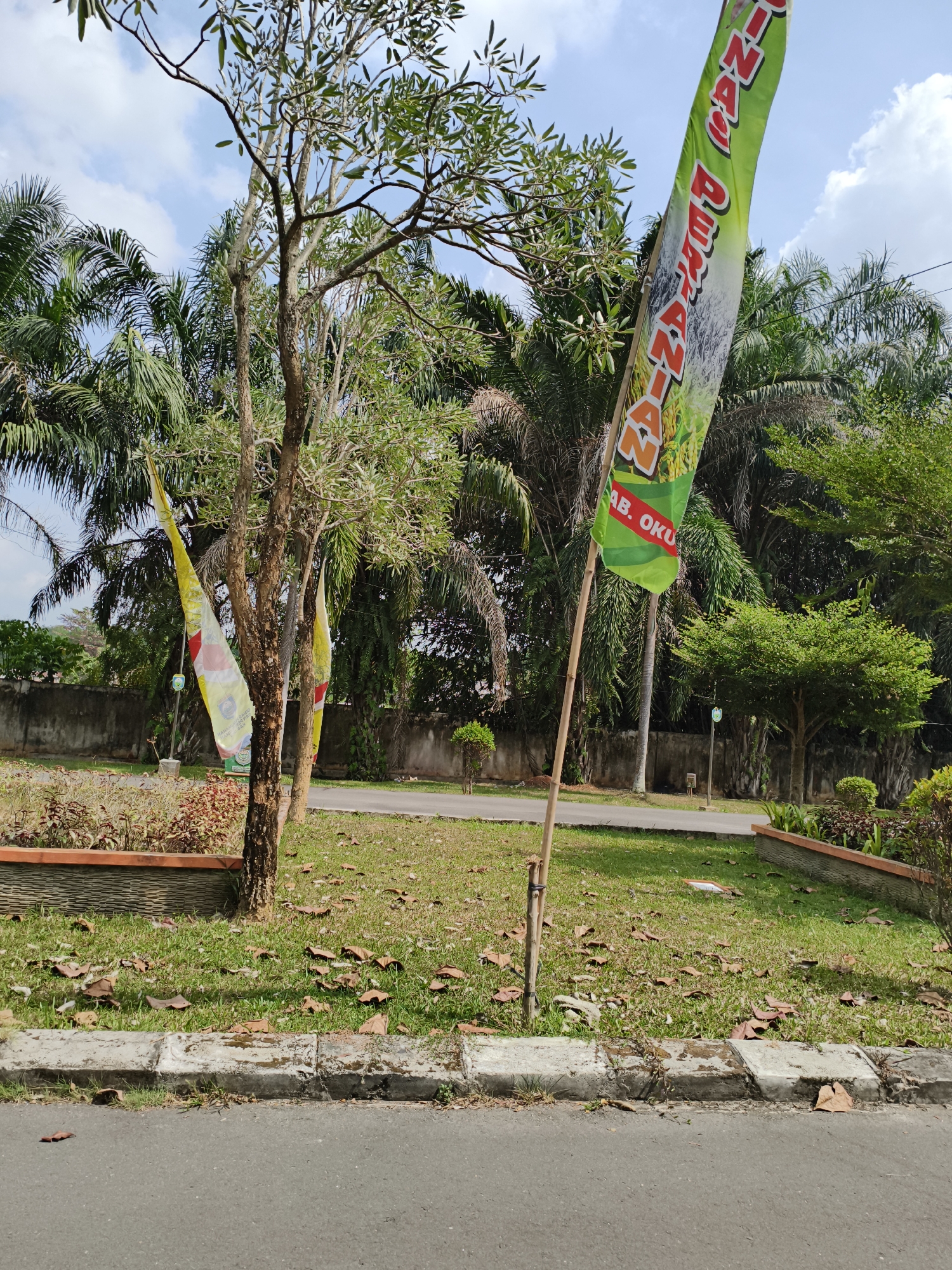 The image depicts an outdoor scene with tropical vegetation and flags. In the foreground, a paved road runs along a curb with grass and fallen leaves. Behind the curb, a grassy area is dotted with scattered dry leaves. A tree with a rough, textured bark stands prominently in the mid-ground. To the left of this tree, two yellow flags are hanging, each bearing some text and imagery. Further to the right, a tall green flag on a bamboo pole displays text and an image of rice stalks. The background features a dense arrangement of palm trees and other lush greenery, with a concrete wall running horizontally behind the vegetation. The sky above is partly cloudy with a blue hue. The scene appears to be located in Kemelak Bindung Langit, Indonesia, as suggested by the text on one of the flags, which reads "KAB. OKU".