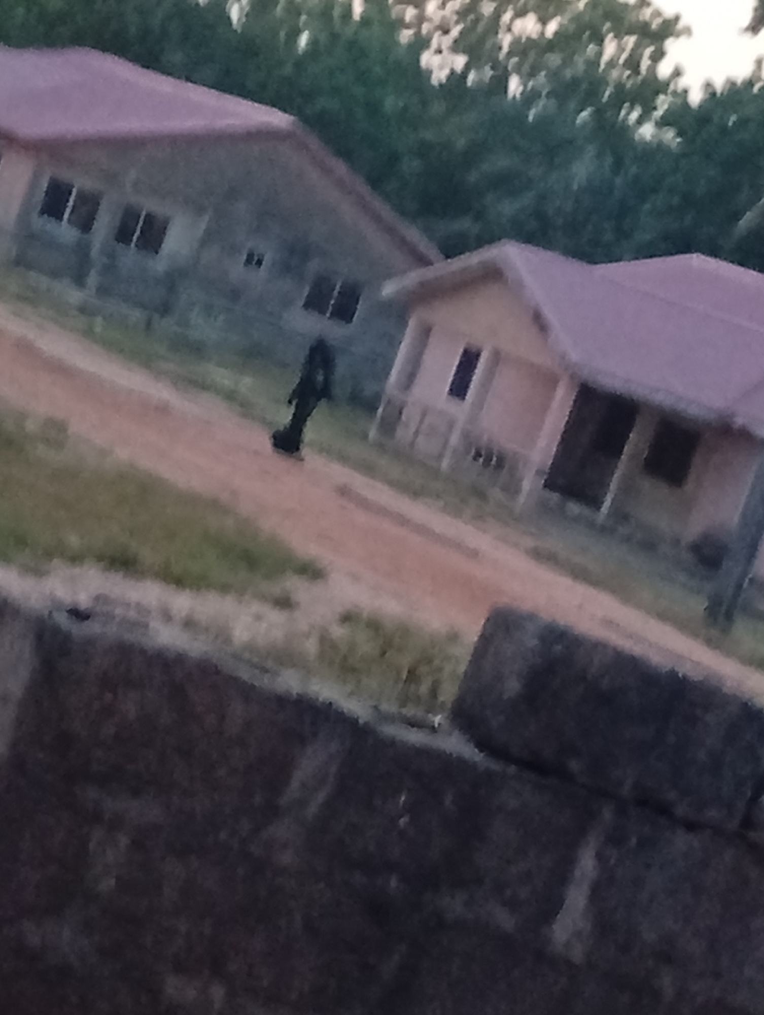 A blurry image shows two houses in an unclear, outdoor environment. A dark figure stands in the dirt path between the houses. A dark wall made of stacked bricks is in the foreground. The city and state are unknown.