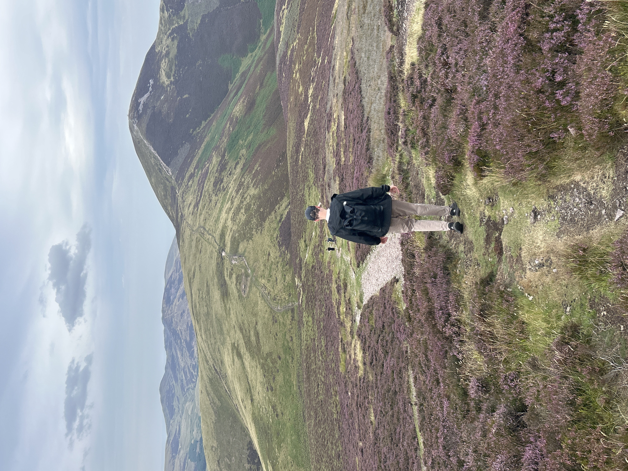 A lone hiker with a black backpack and light-colored pants walks away from the camera on a gravel path through a field of purple heather. Behind the hiker, the path continues up a grassy slope towards a larger, barren mountain. In the distance, rolling green hills under a cloudy sky complete the mountainous landscape. The scene appears to be a rural hiking trail, likely in the Pentland Hills Regional Park, which is located near Penicuik, United Kingdom.