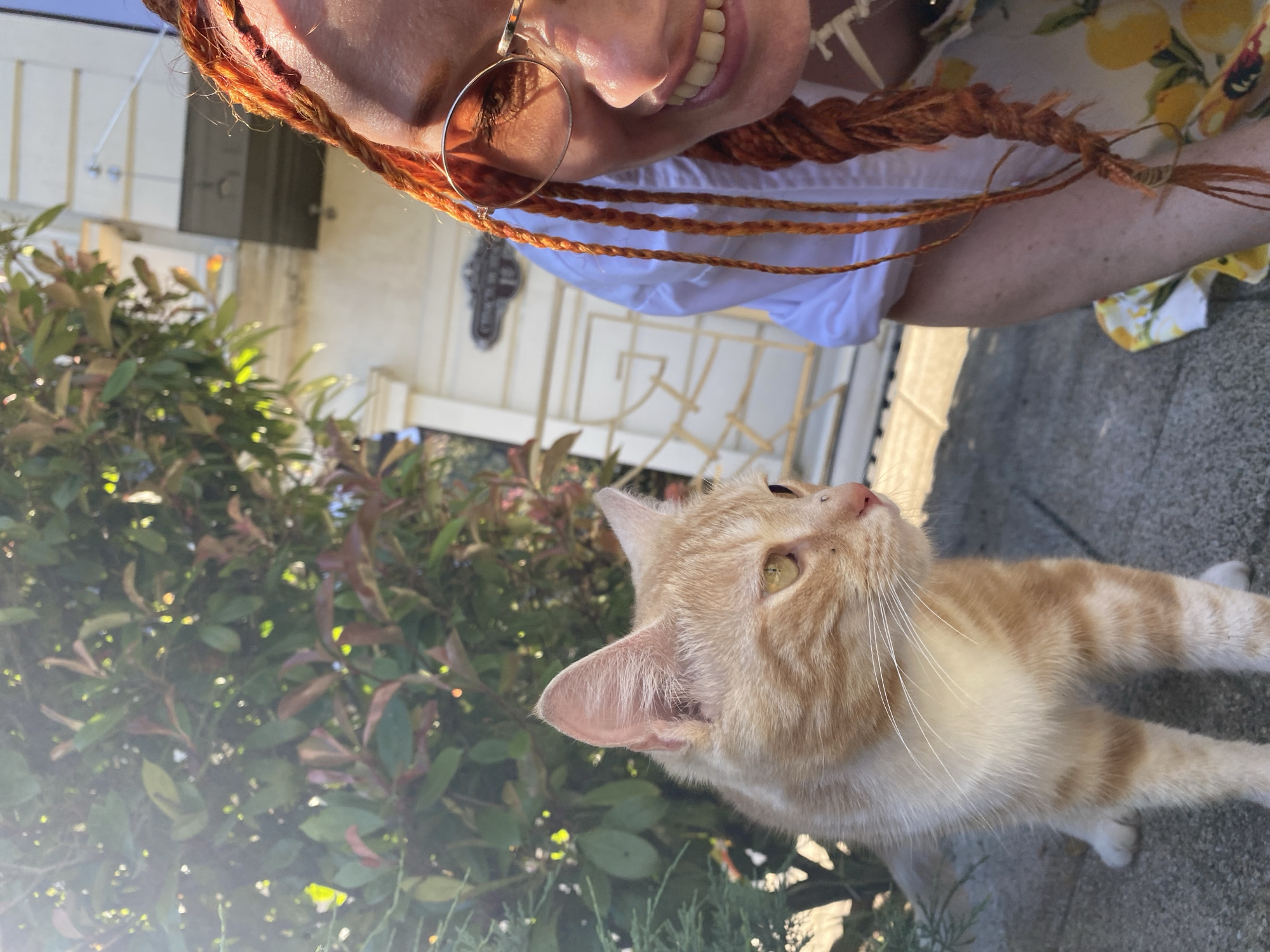 The image features a close-up of a person's face, with a ginger cat looking up at them. The person has bright orange braided hair and is wearing sunglasses. They are smiling, showing their teeth. The cat has bright green eyes and is looking upwards, appearing attentive. The scene appears to be outdoors, with greenery visible in the background, possibly a garden or park. Sunlight is casting a warm glow on the subjects, suggesting it is daytime. The background includes what looks like a house with white siding and a decorative gate. The overall mood is cheerful and relaxed, with a clear bond between the person and the animal.