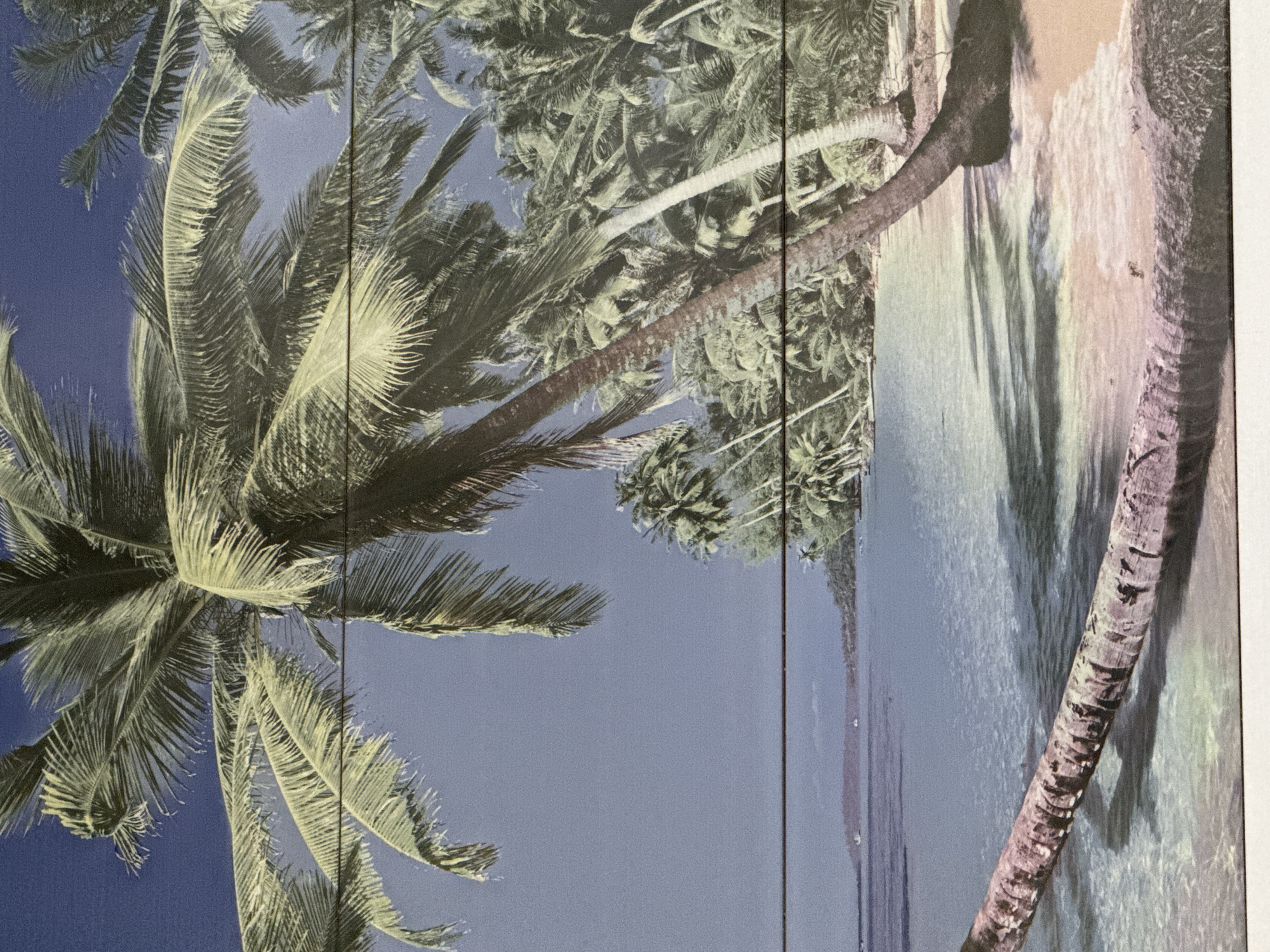 This media file depicts a tropical beach scene with prominent palm trees and the ocean. The image is oriented vertically, with the viewer looking upwards towards the palm fronds and the sky. The sky is a clear, deep blue. Palm trees with their distinctive fronds dominate the left side of the image, with their trunks extending downwards.
On the right side, the scene transitions to a sandy beach and clear ocean water. The water is shallow near the shore, revealing the sandy bottom, and becomes deeper further out. The texture of the palm trunks is visible, showing a rough, segmented bark. Sunlight casts shadows from the palm trees onto the sand and water, suggesting it is daytime. The overall atmosphere is serene and idyllic, characteristic of a tropical paradise. There is no visible text in the image. The location context of Obukhivka, Ukraine, is unusual for such a tropical scene and may refer to the origin or context of the image rather than the depicted landscape itself.